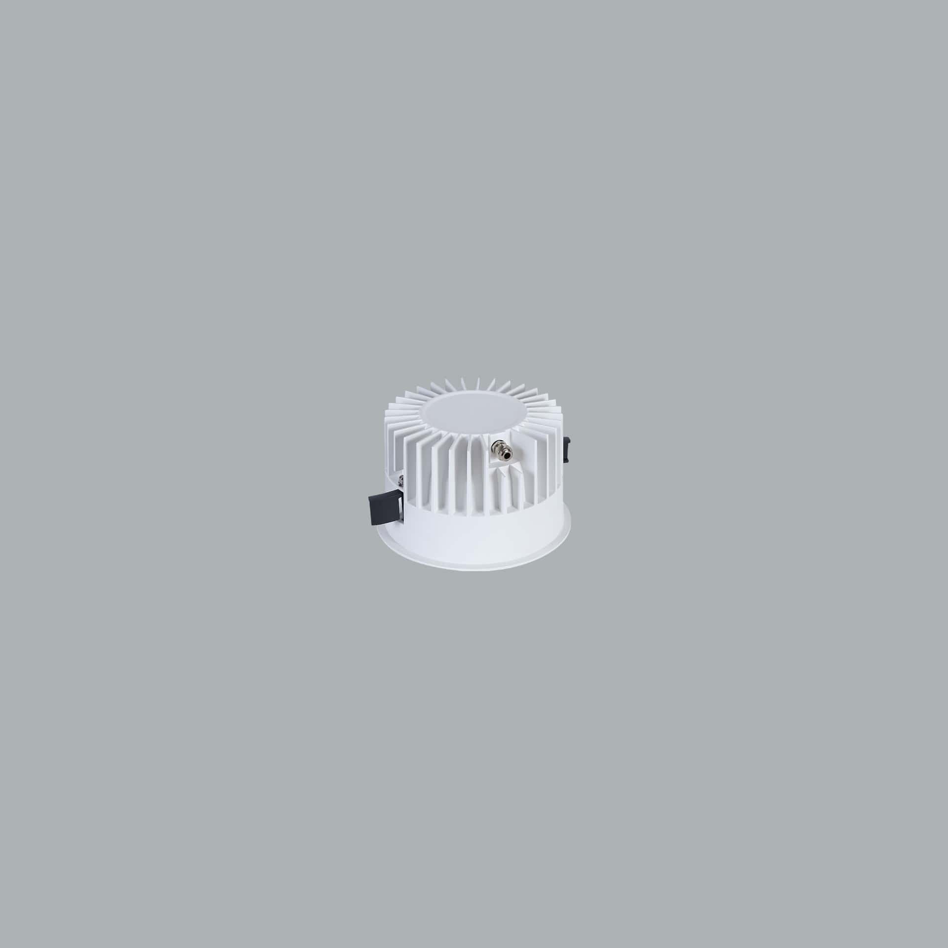 Royal 100 IP - image 4