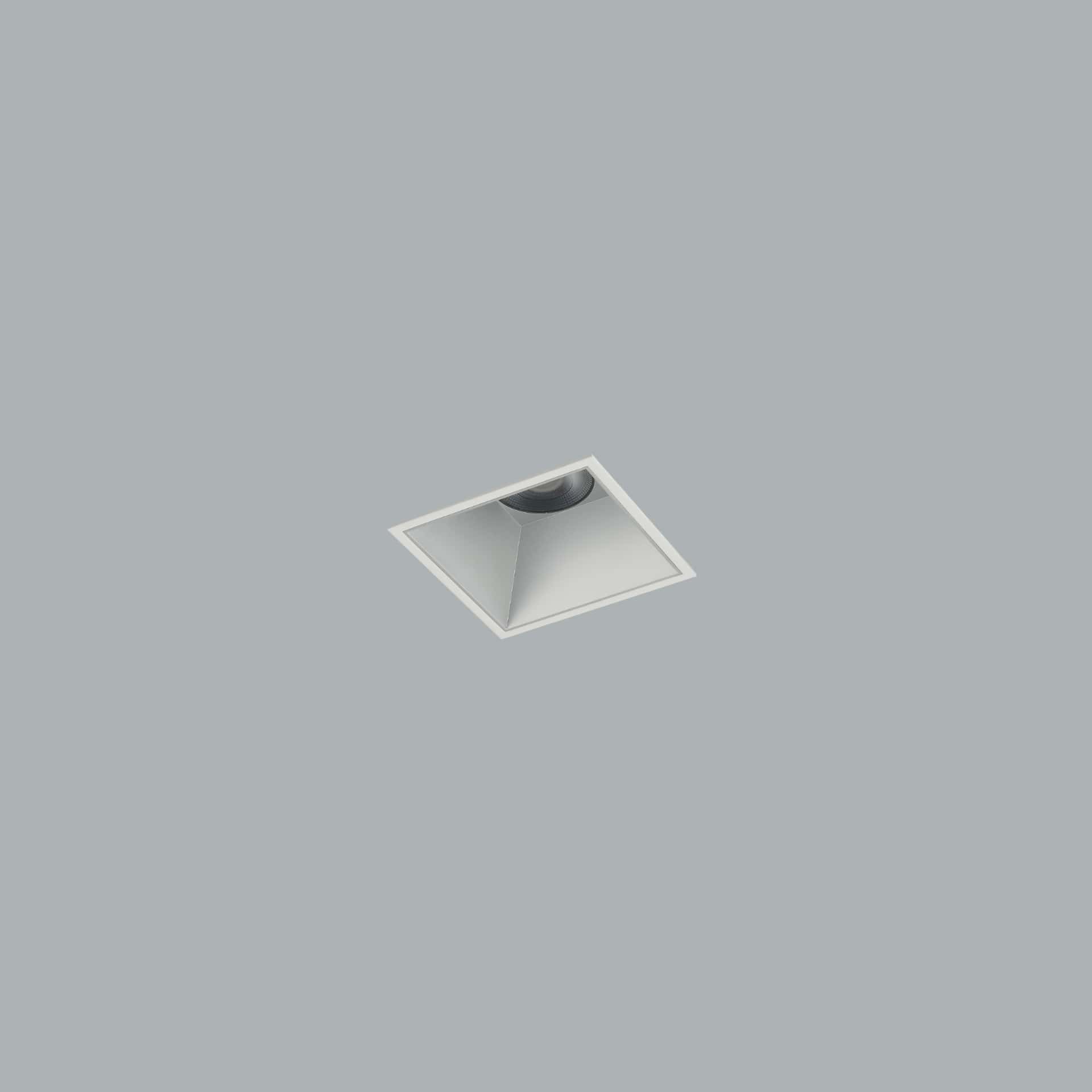 Royal 100 IP - image 2
