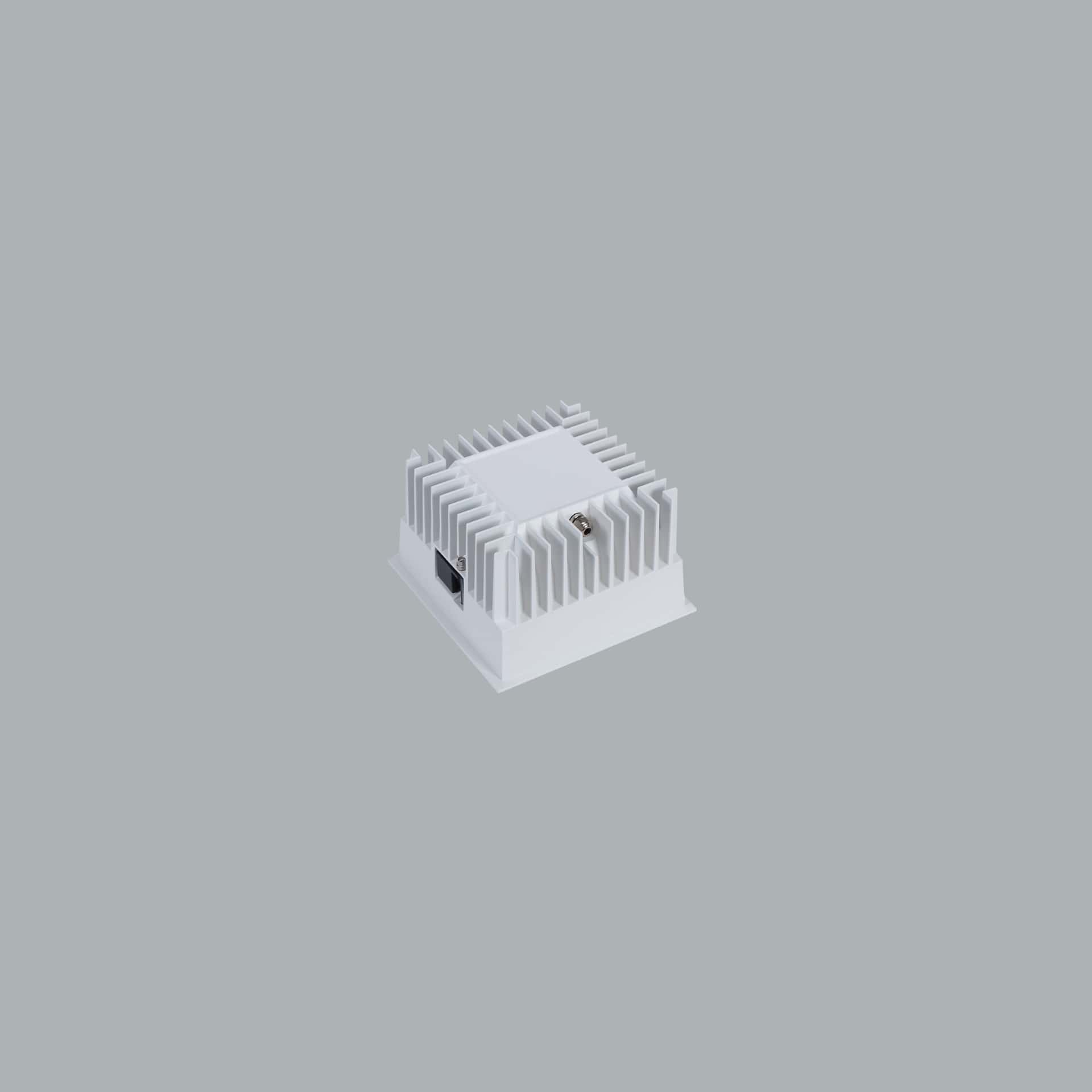 Royal 100 IP - image 3