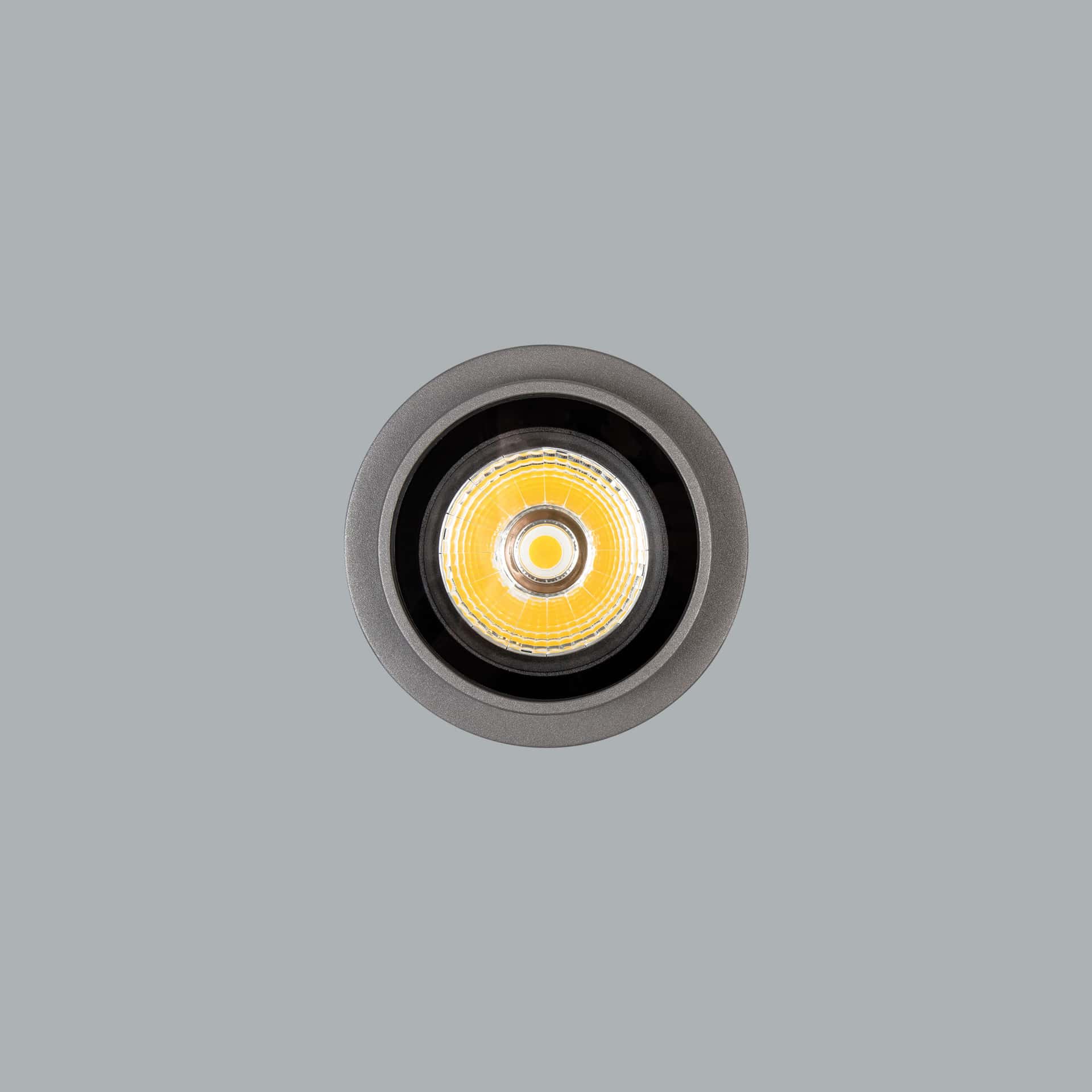 Terra - image 2