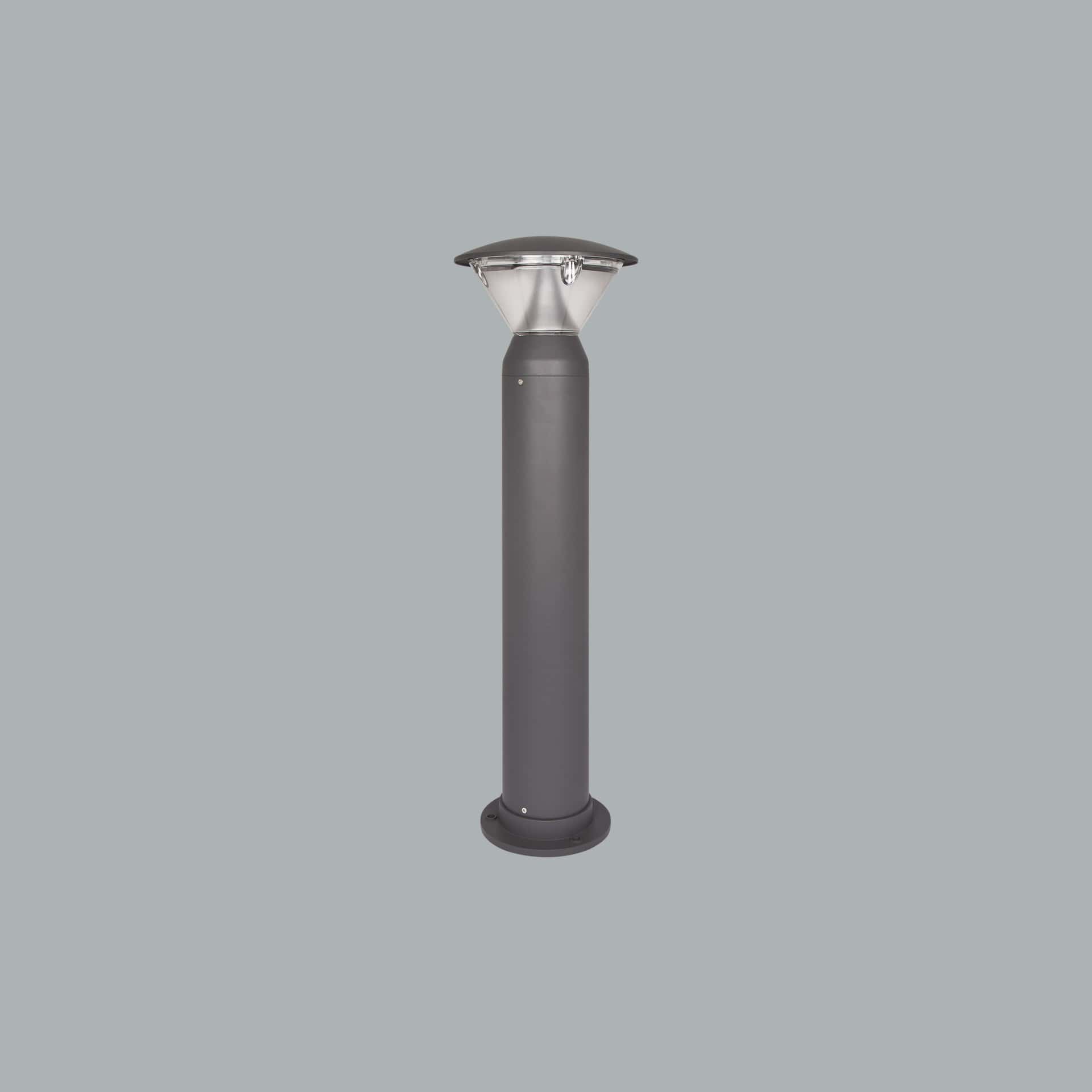 Lucia - image 2