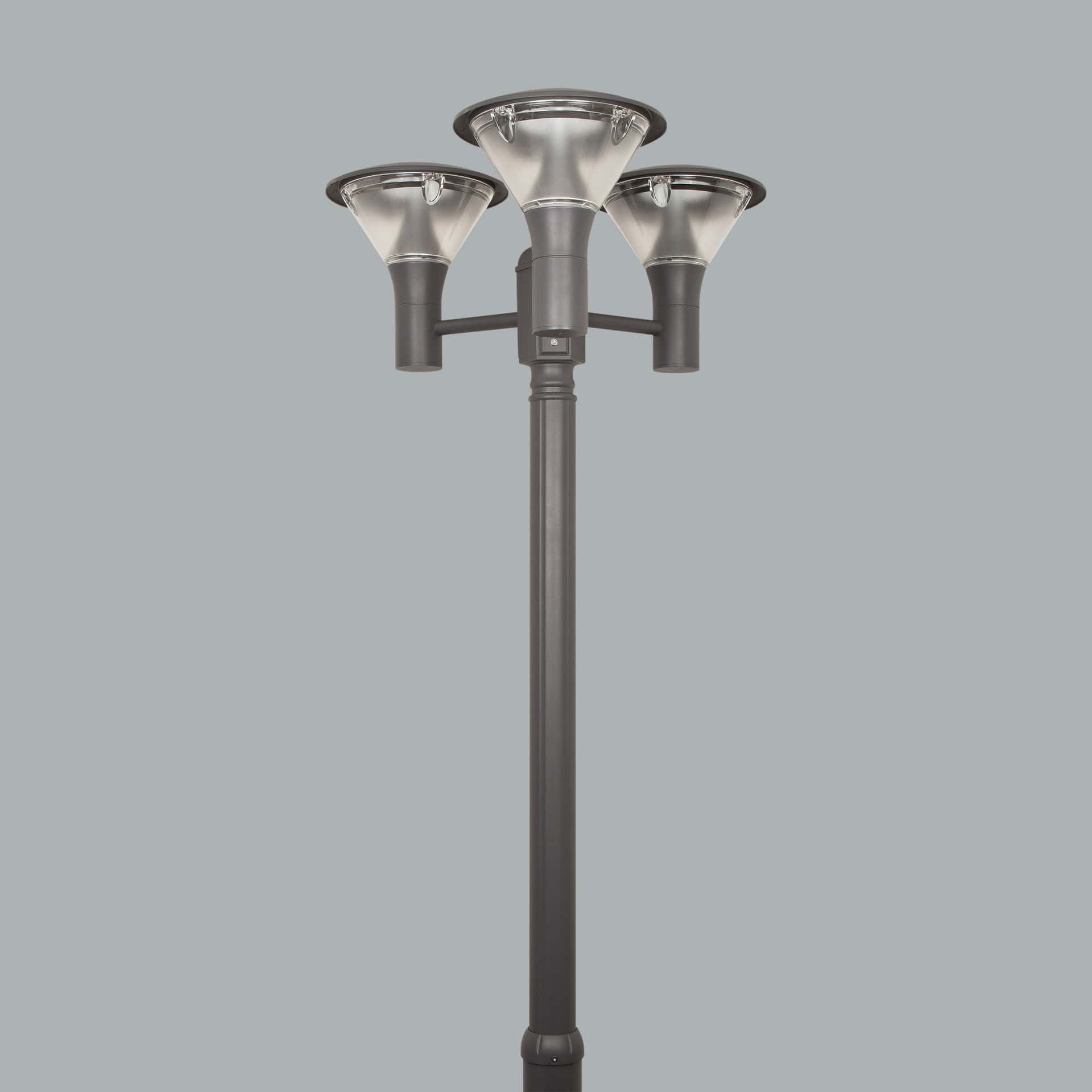 Lucia - image 2