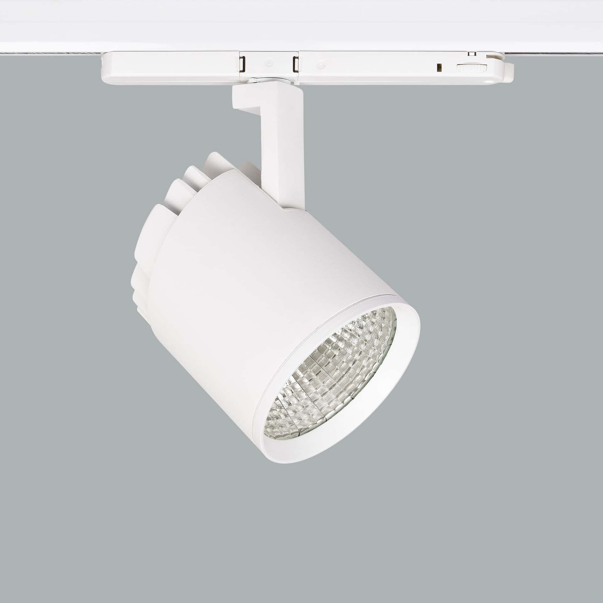 Mavi Deco - image 2