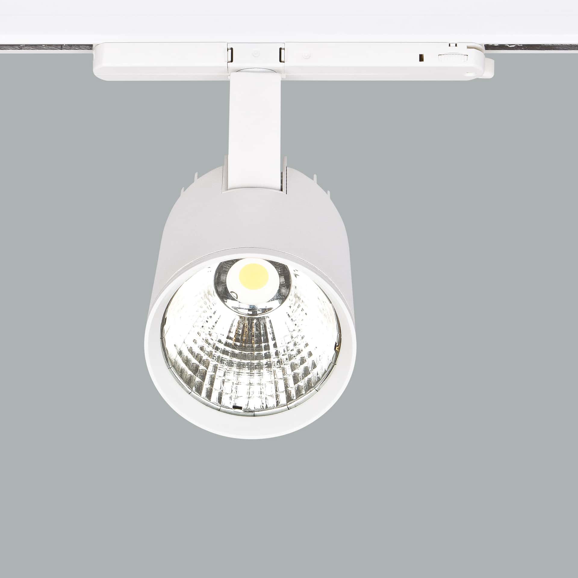 Mavi Deco - image 3