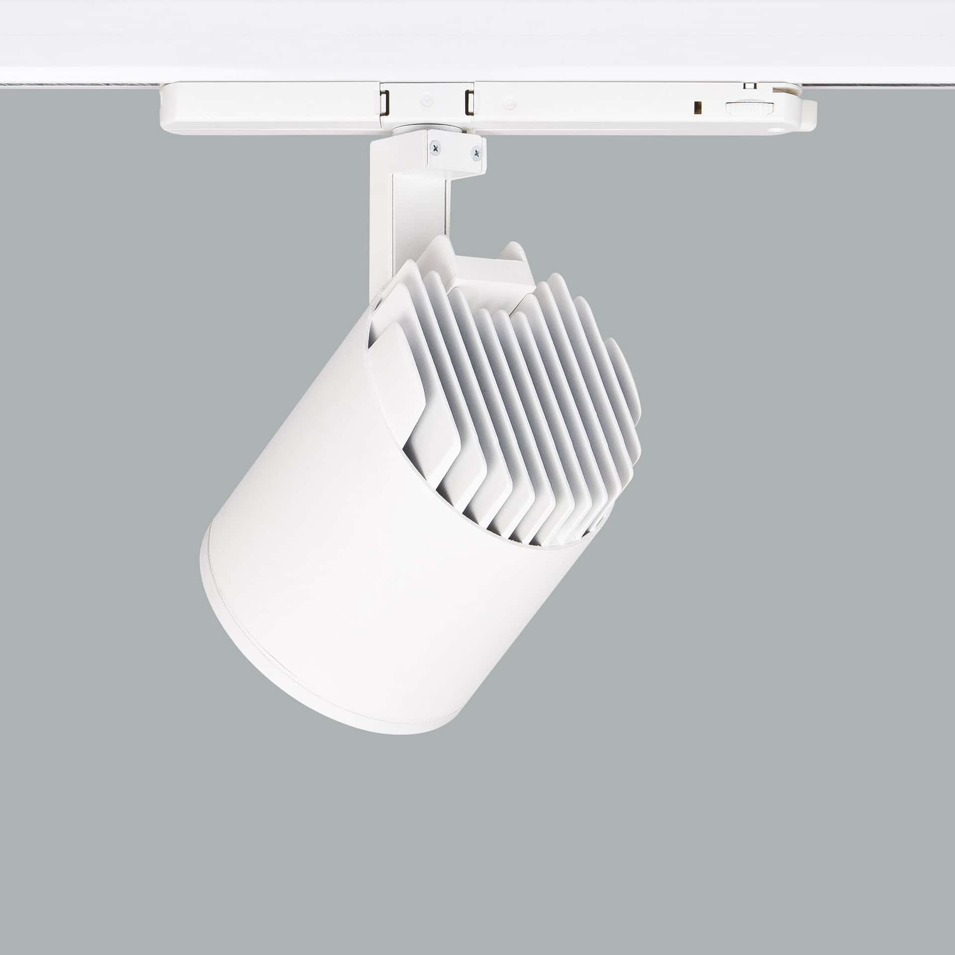 Mavi Deco - image 4