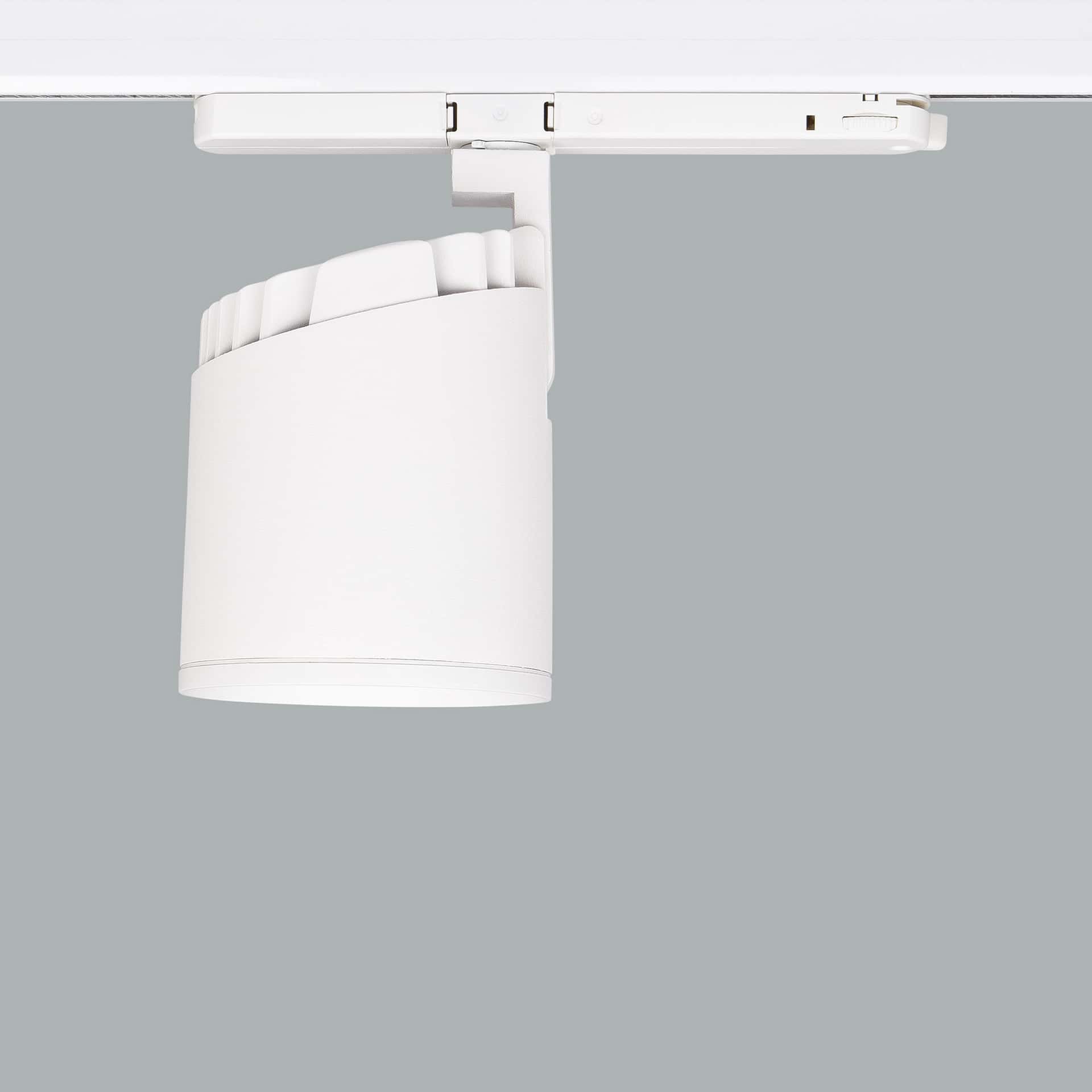 Mavi Deco - image 5
