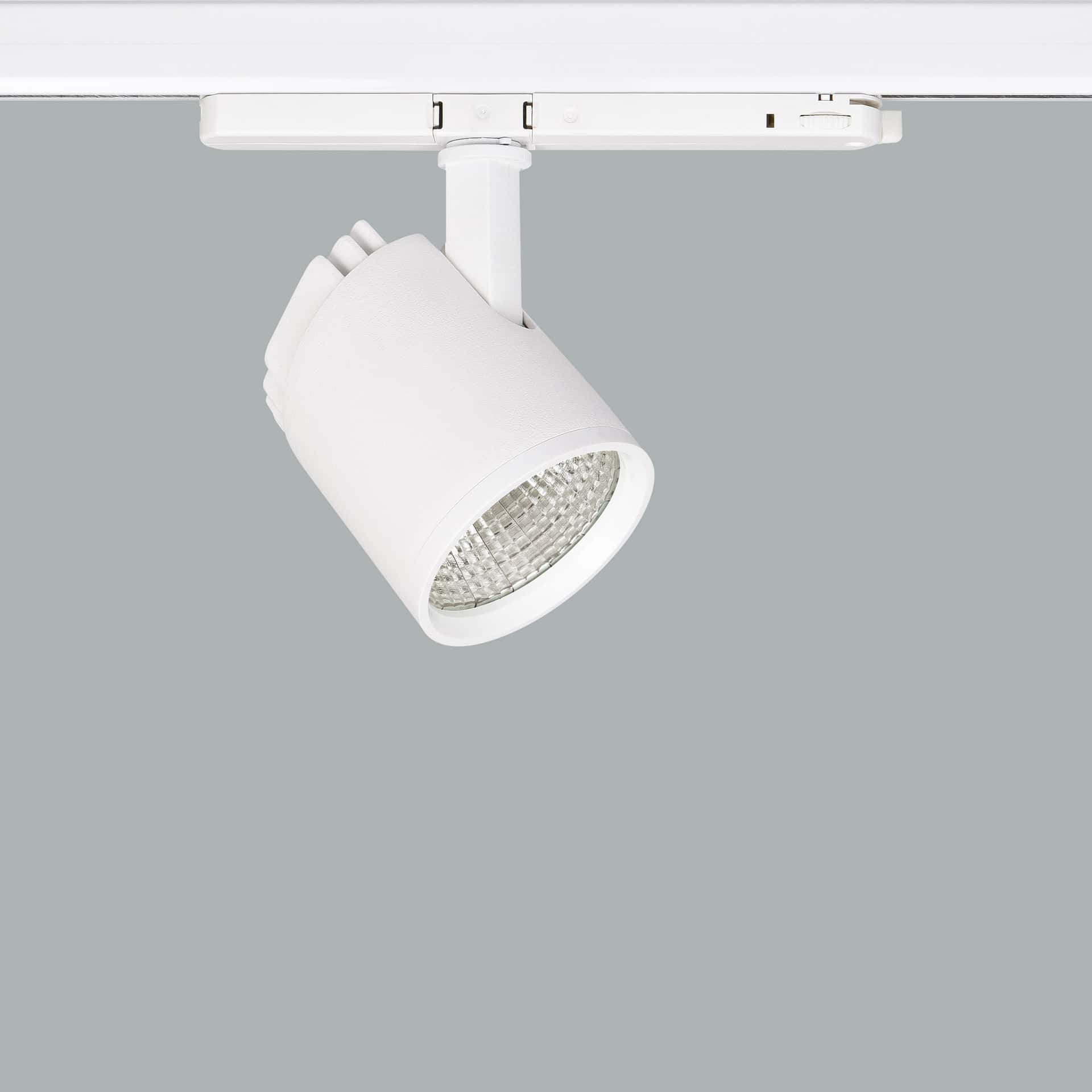 Mavi Mini Deco - image 2