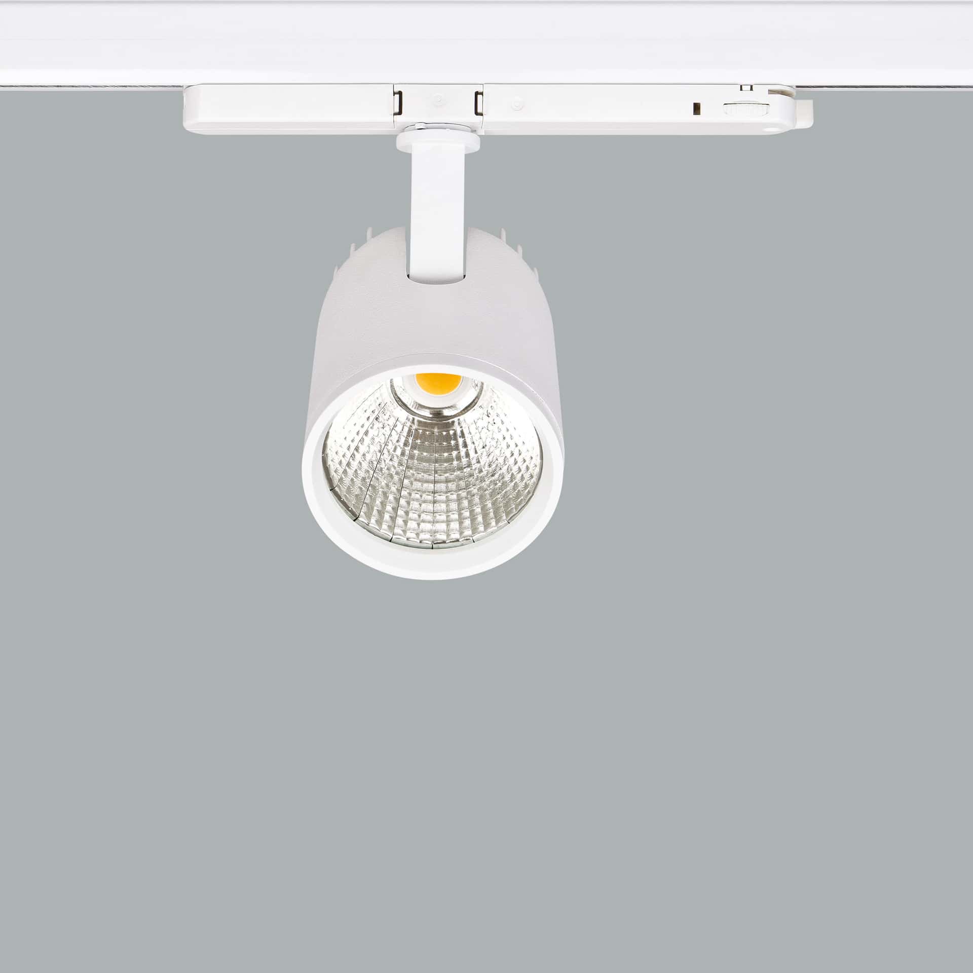 Mavi Mini Deco - image 3