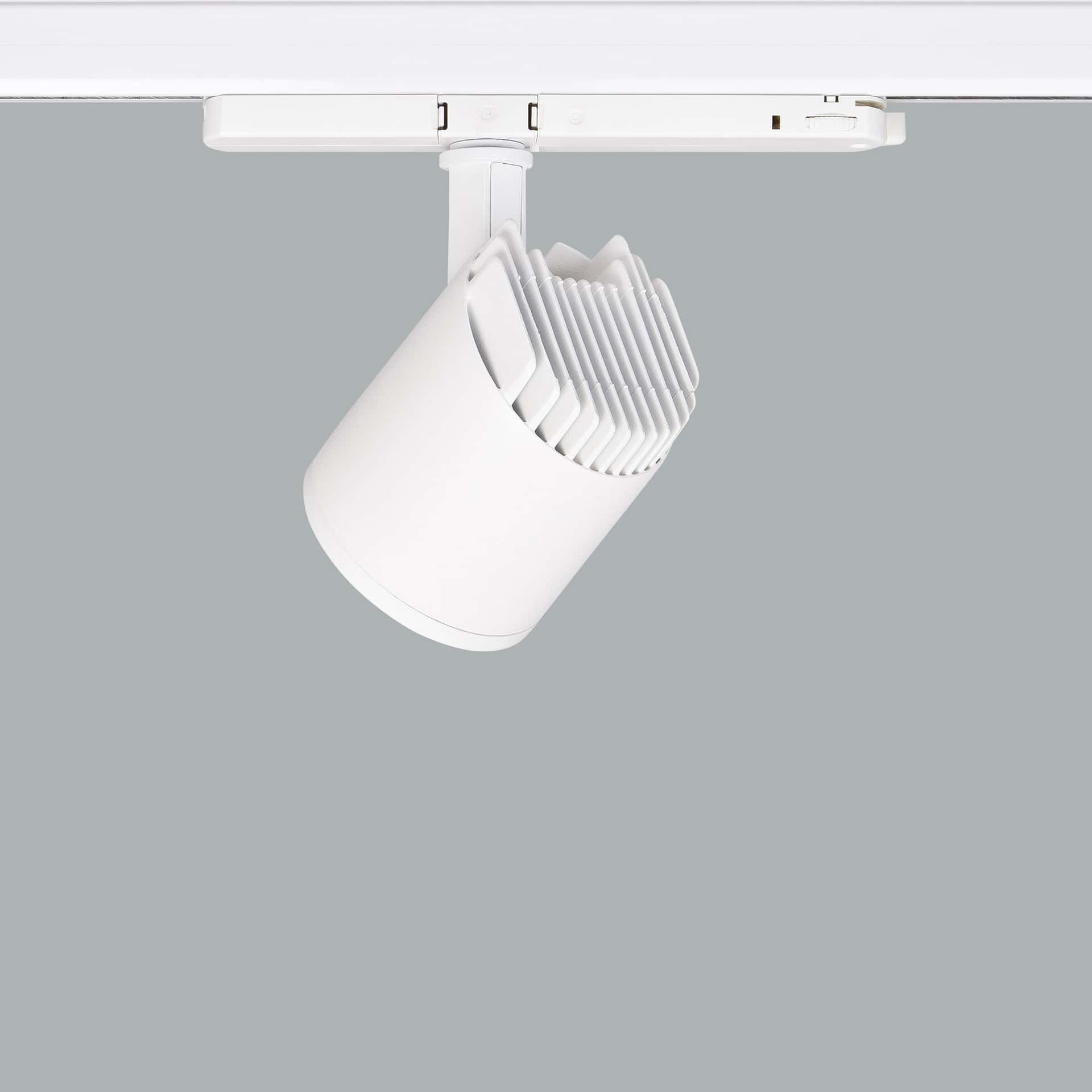Mavi Mini Deco - image 4