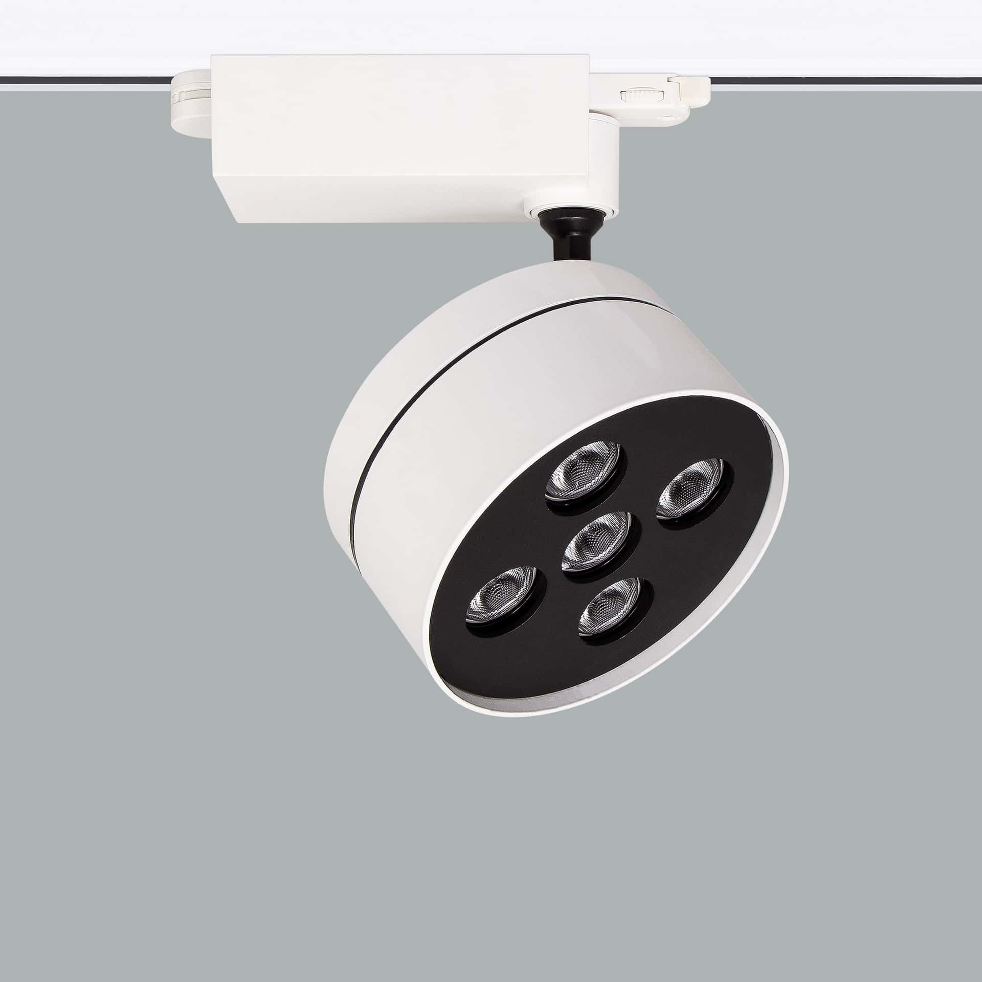 Cosmos RGBW - image 3