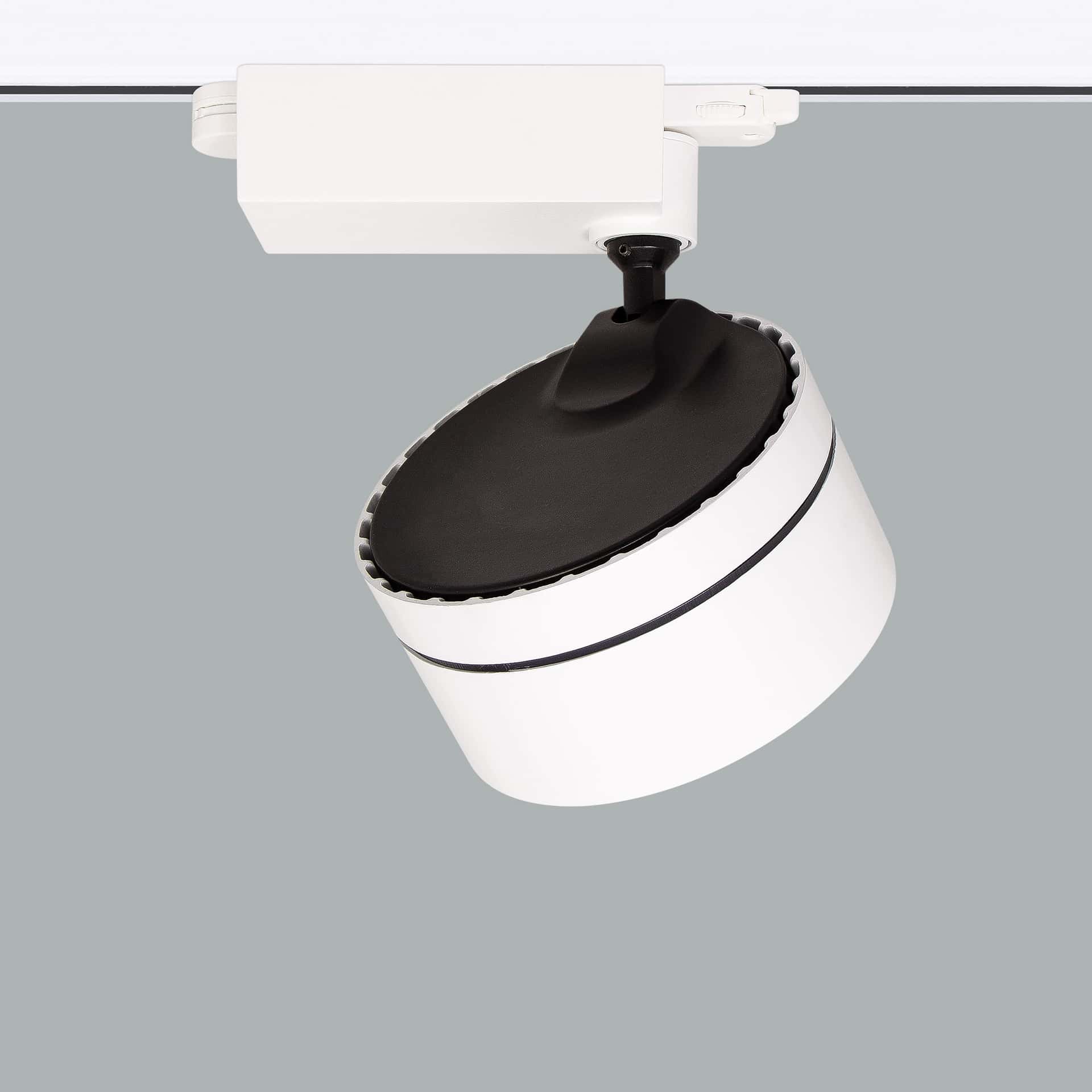 Cosmos RGBW - image 4