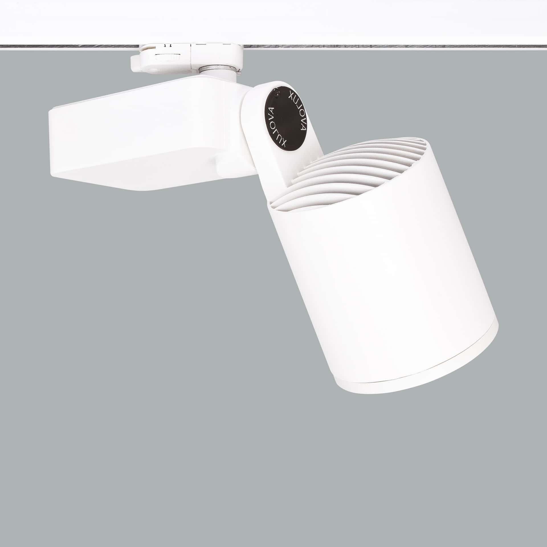 Lale - image 3