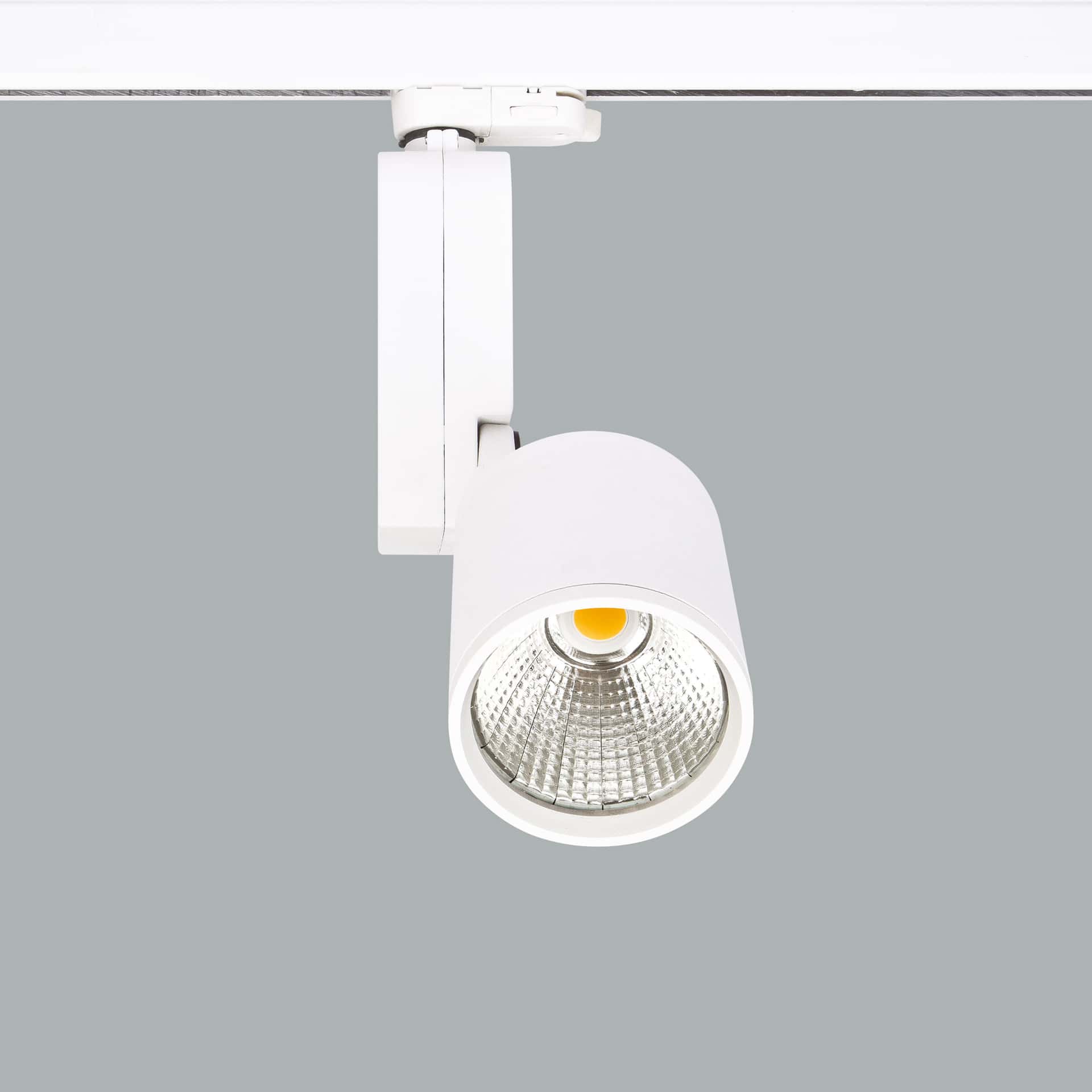 Mini Lale - image 3