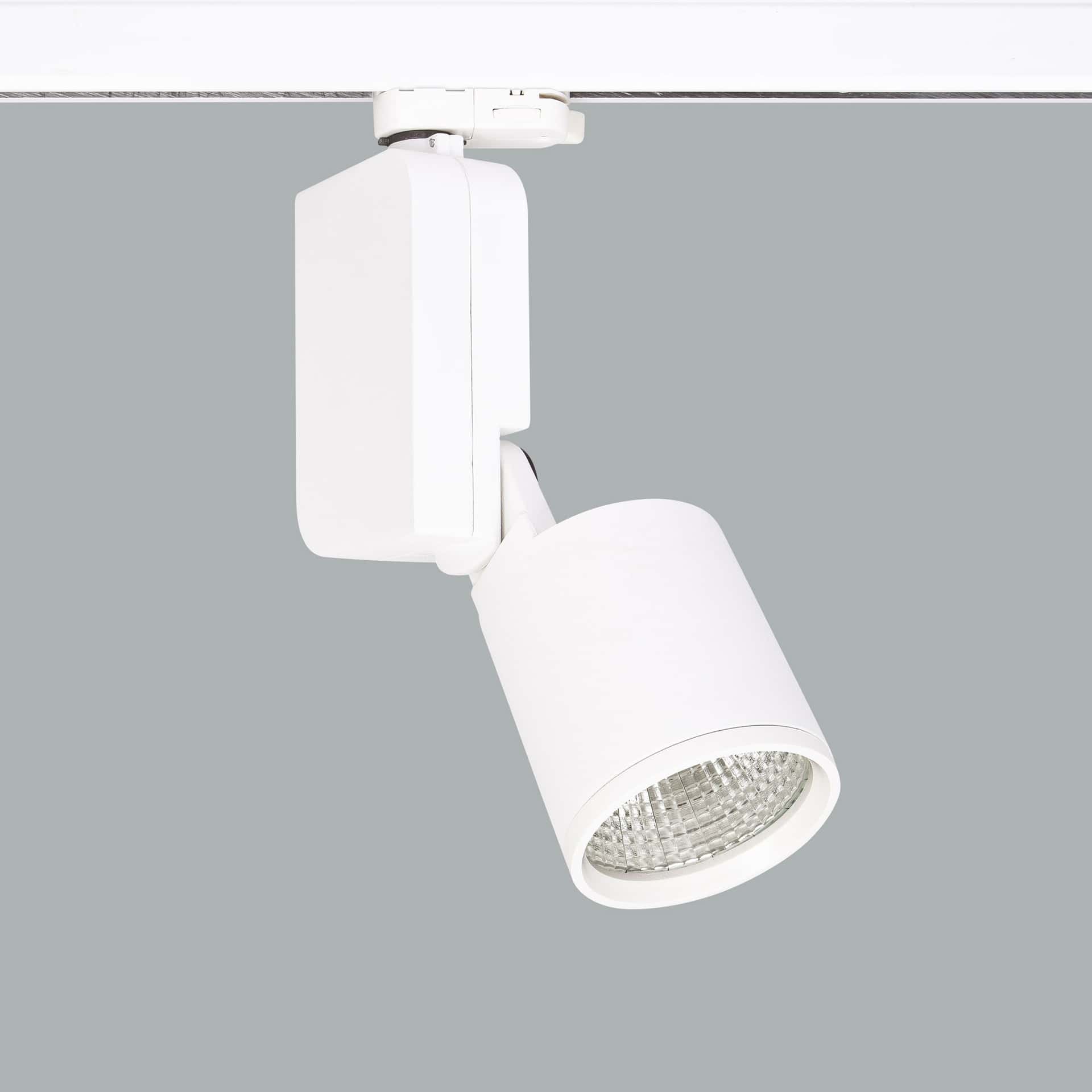 Mini Lale - image 4
