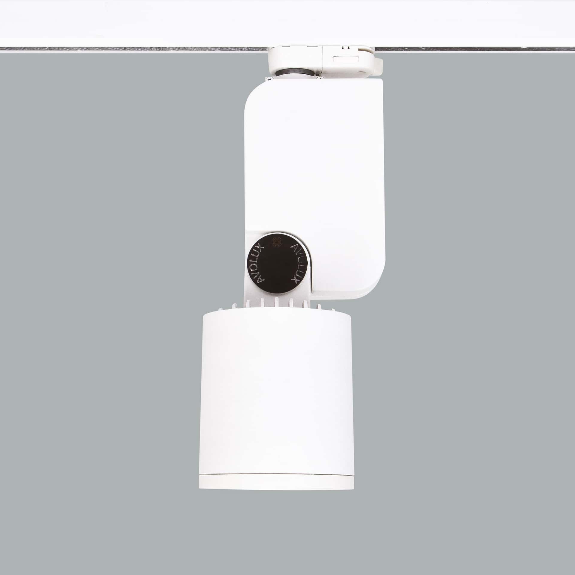 Mini Lale - image 6
