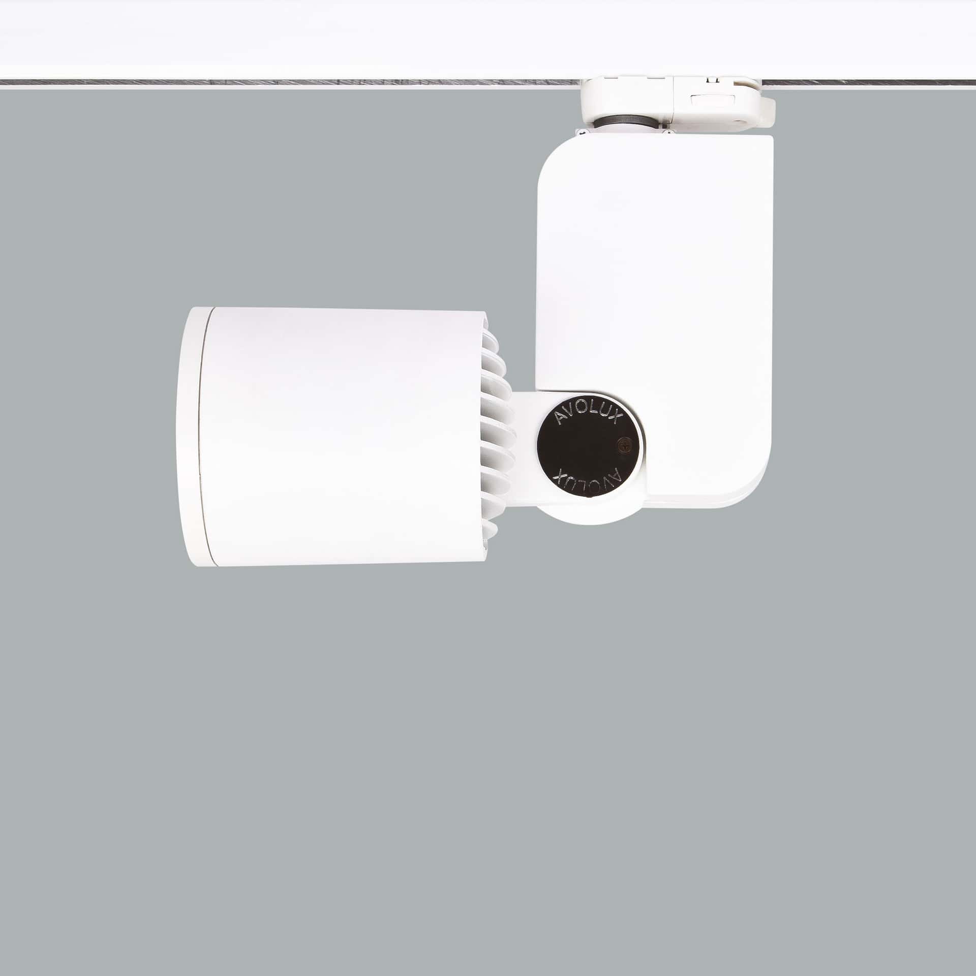 Mini Lale - image 7