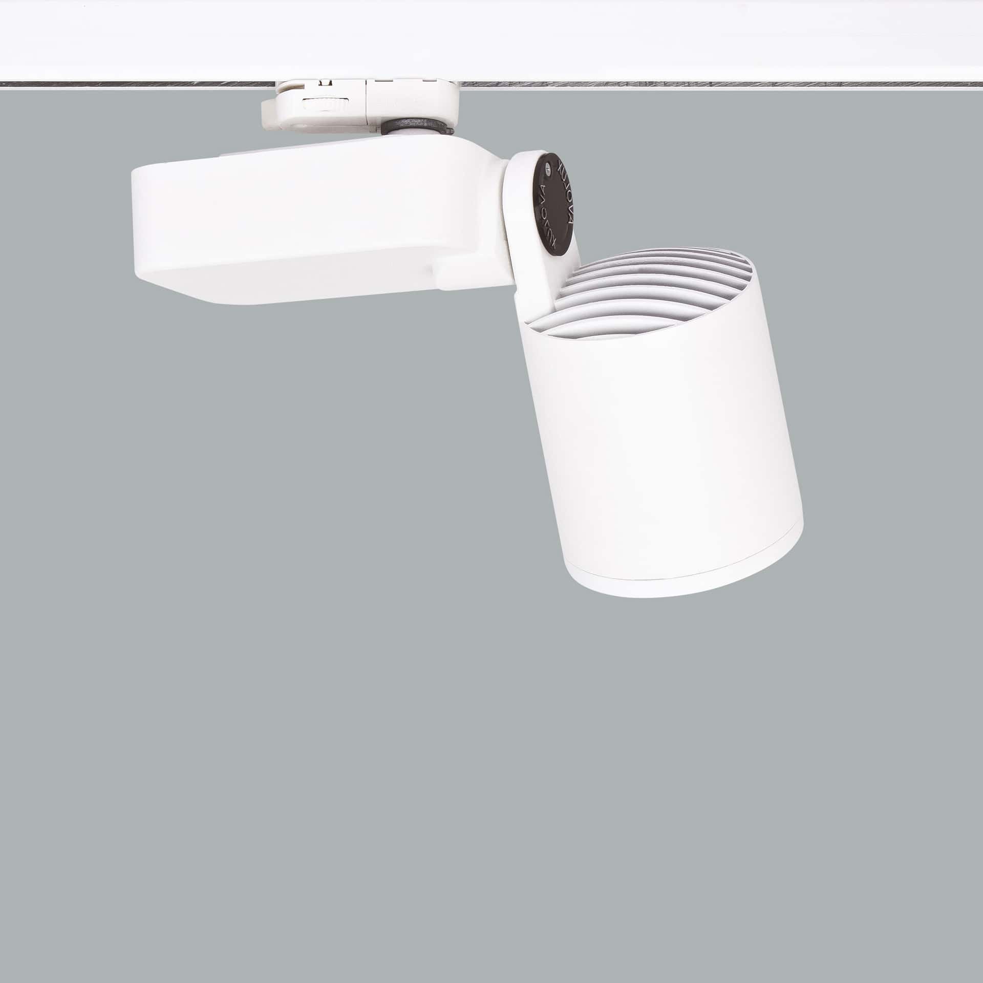Mini Lale - image 2