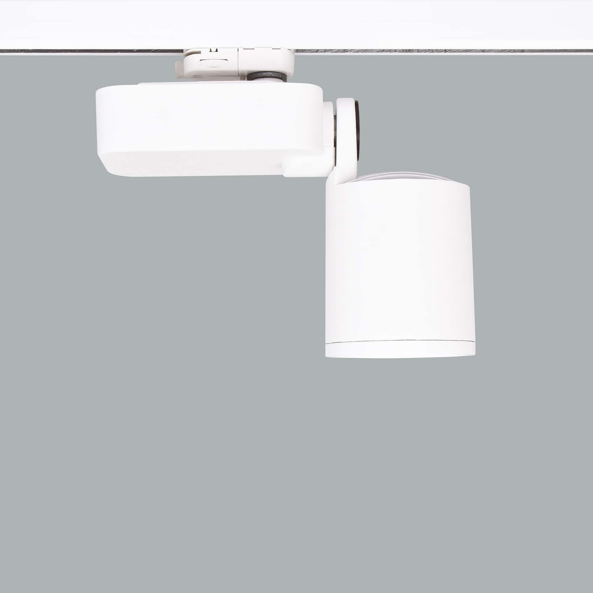 Mini Lale - image 3