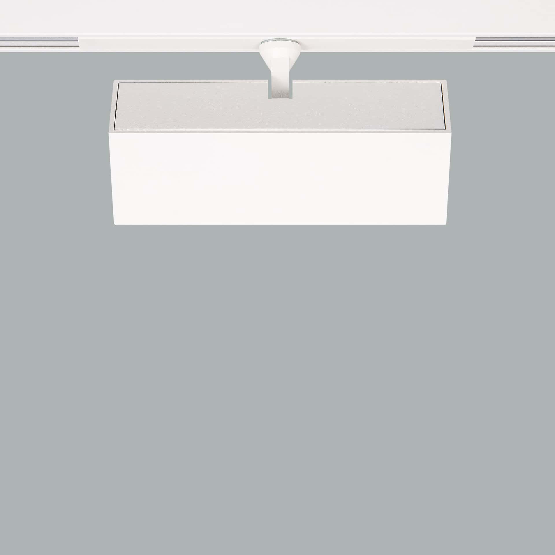 Asya Short Arm - image 6