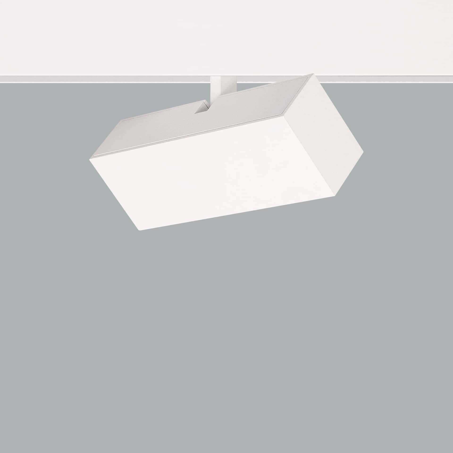 Asya Long Arm - image 5