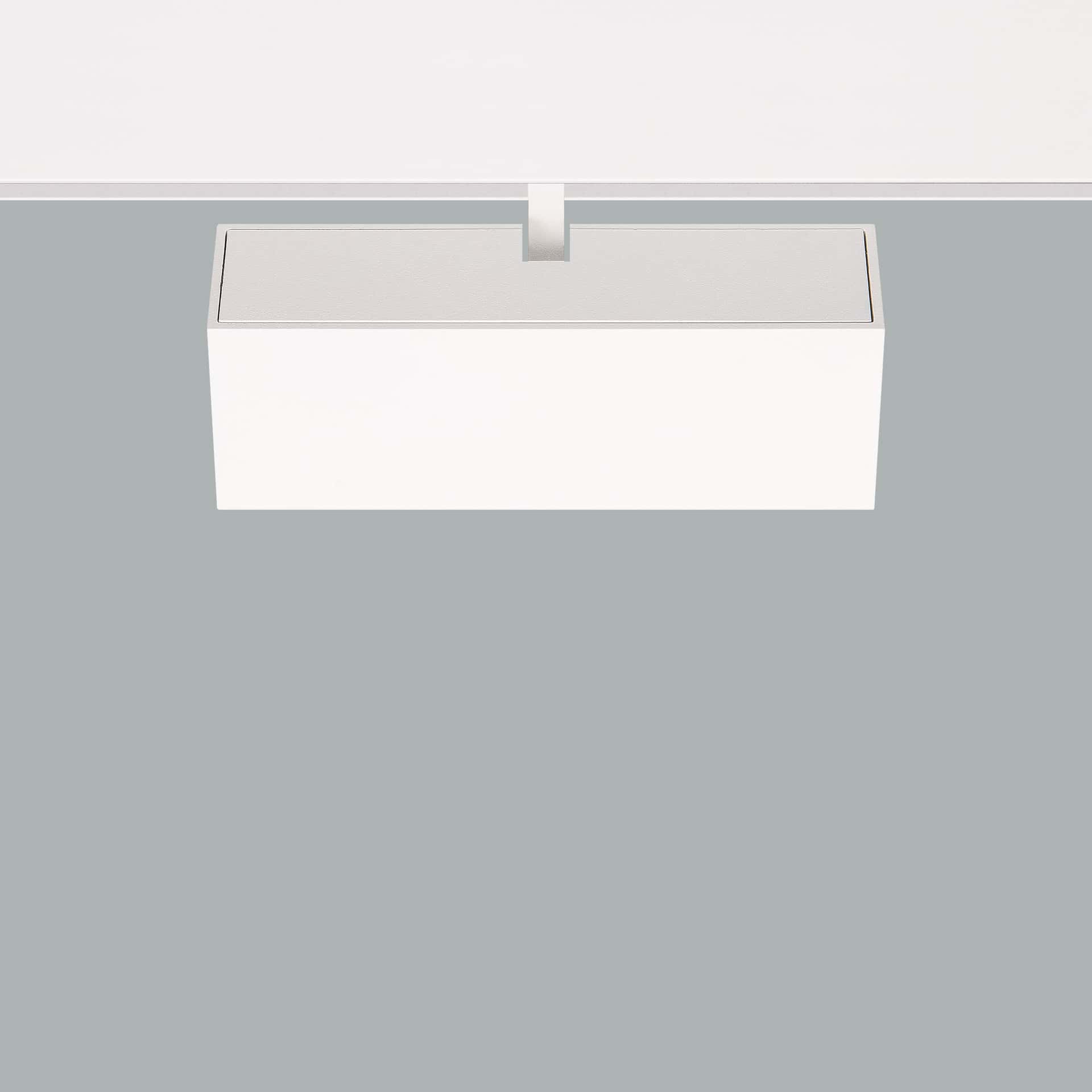Asya Long Arm - image 6