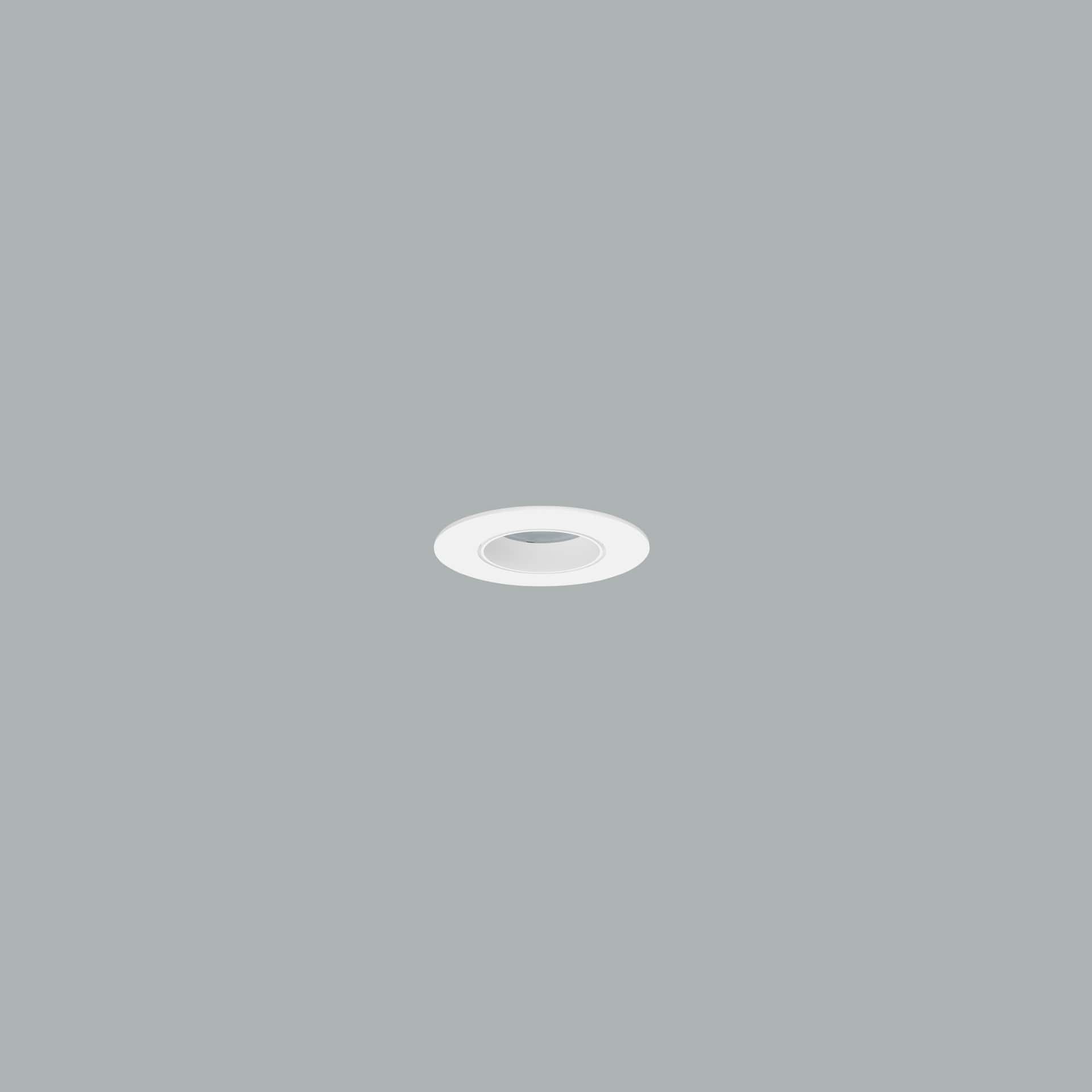 Miniflux - image 2
