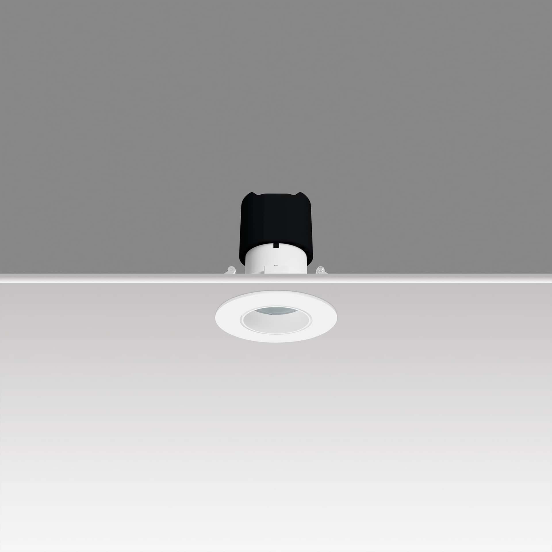 Miniflux - image 3