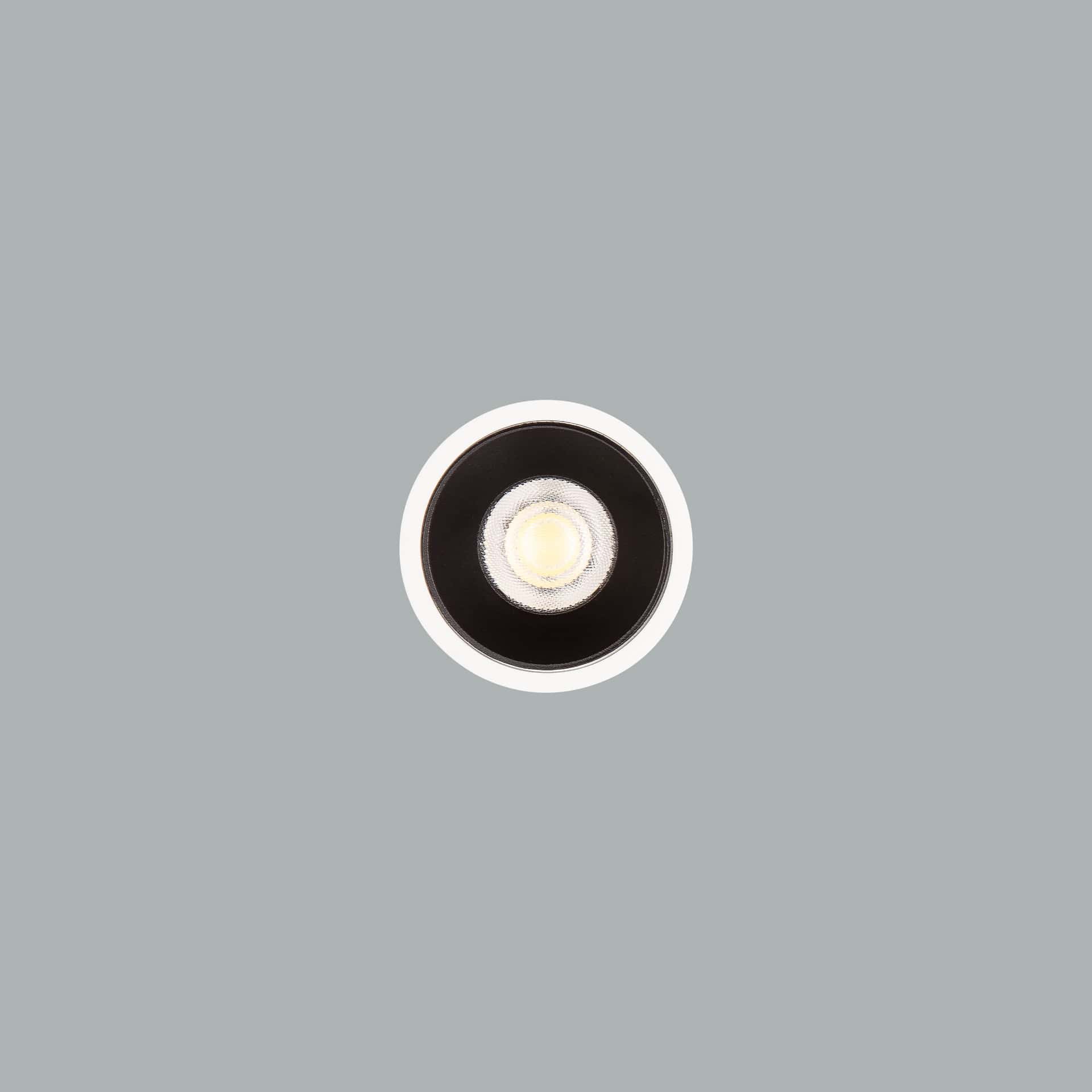 Luxar 71 - image 4