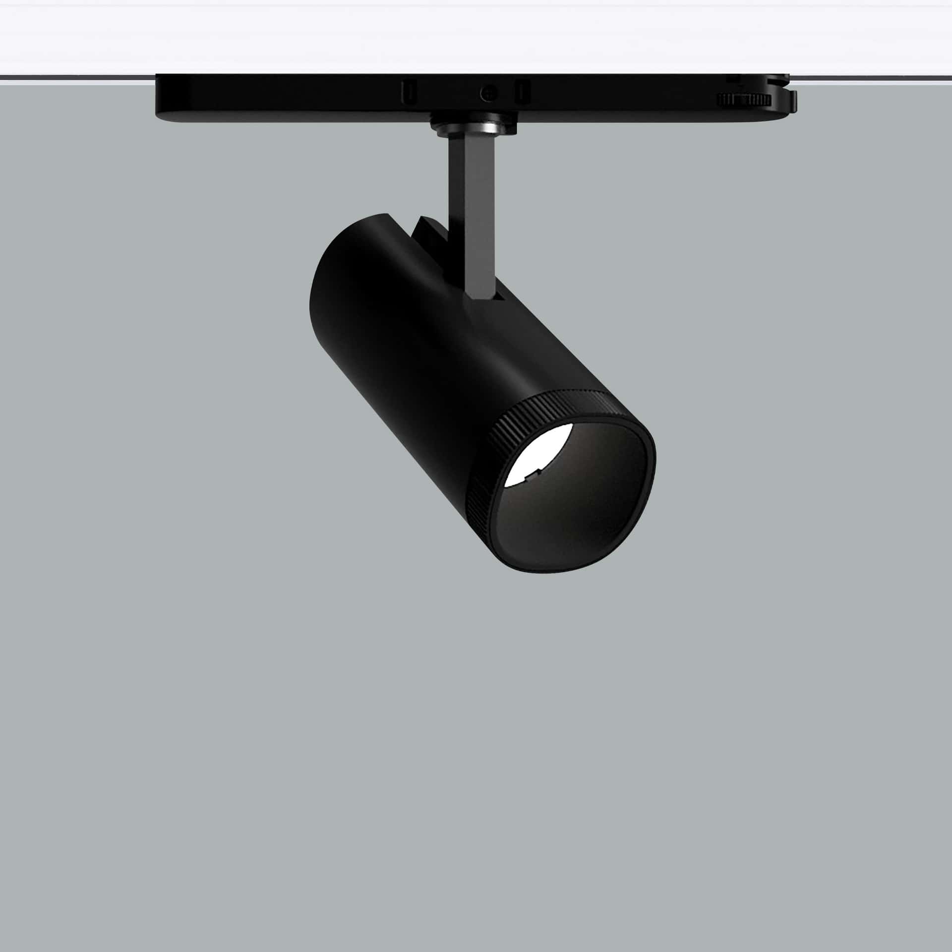 Orka - image 2