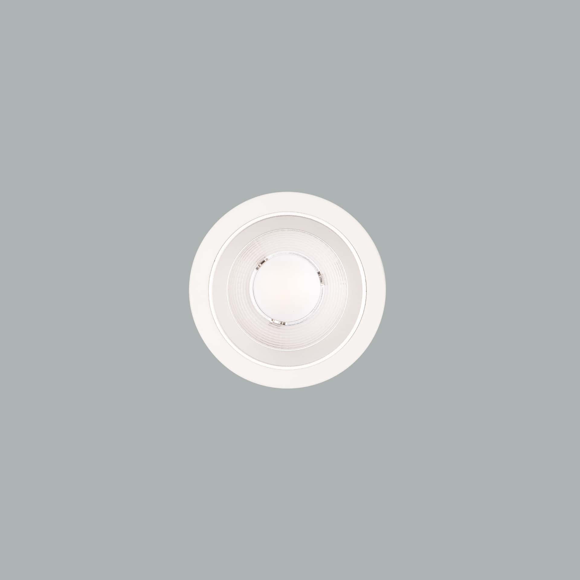 Lora 145 Downlight - image 2