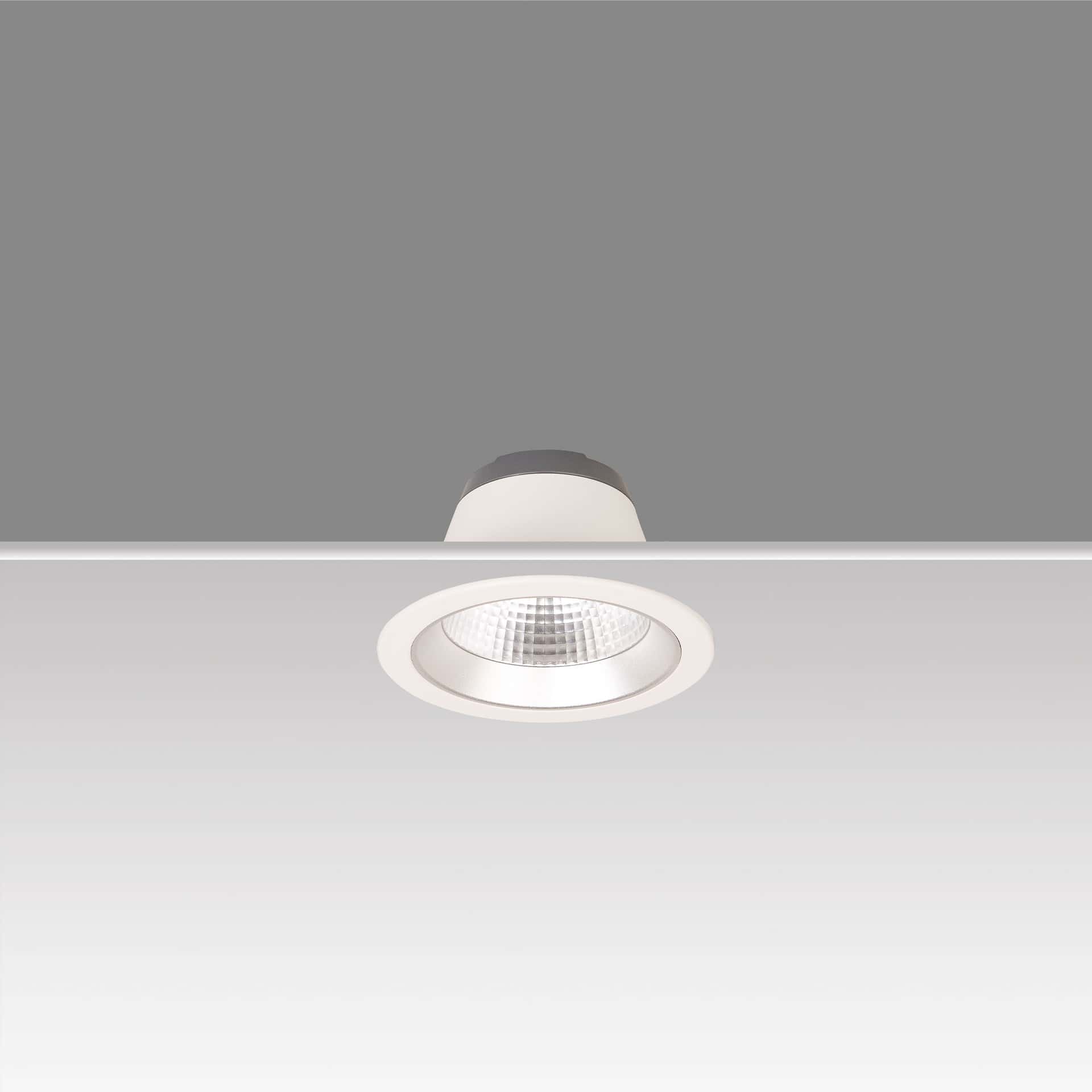 Lora 145 Downlight - image 3