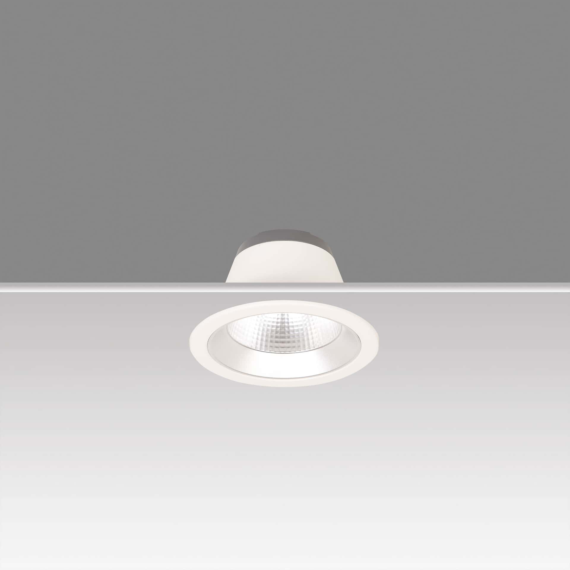 Lora 174 Downlight - image 3