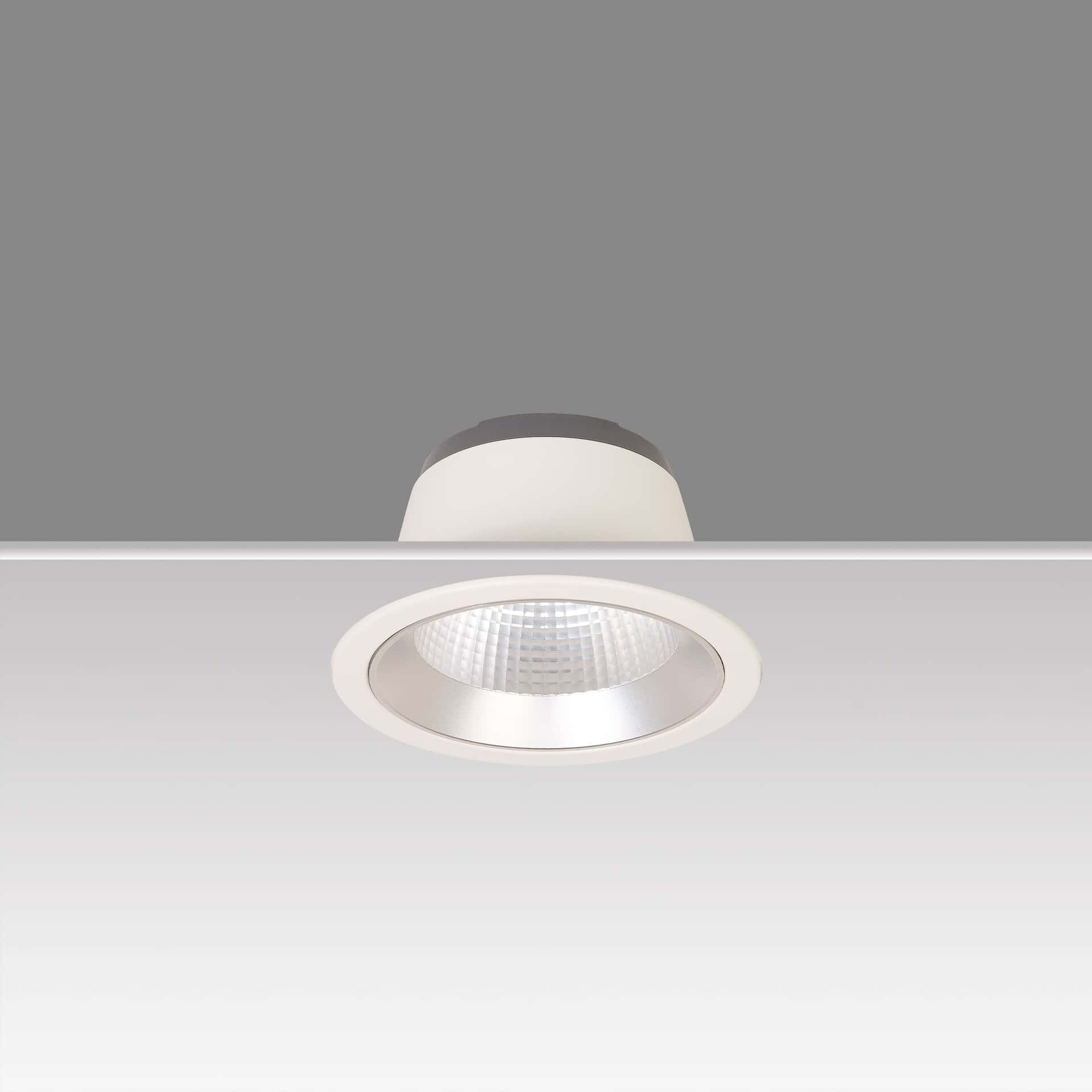 Lora 205 Downlight - image 3