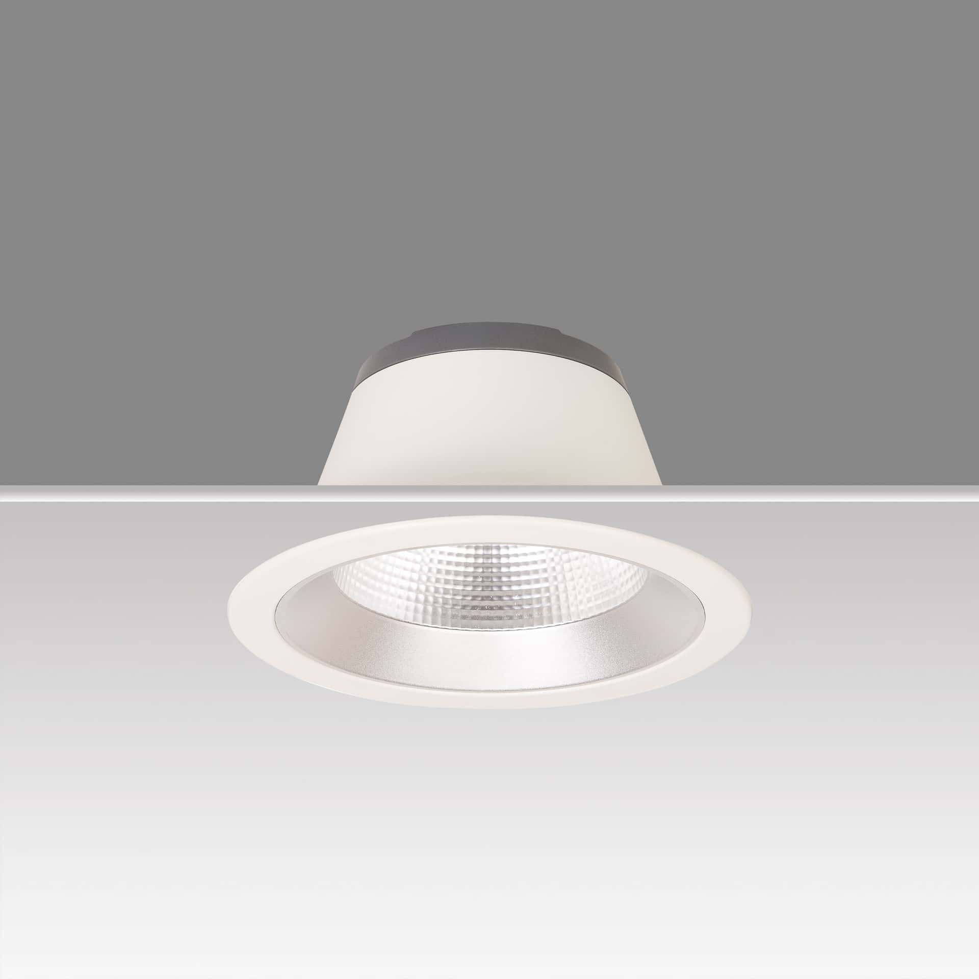 Lora 232 Downlight - image 3