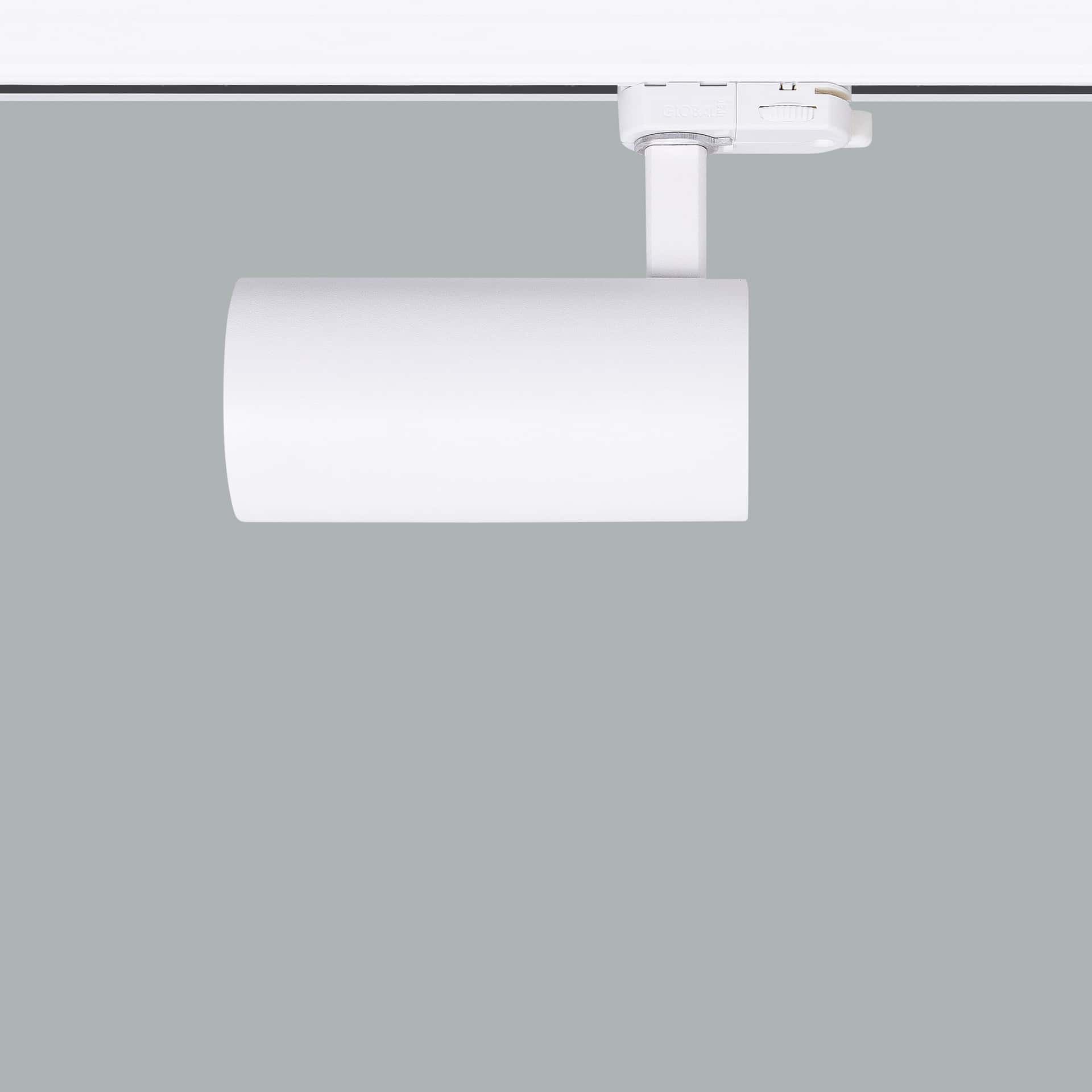 Silindir Mini Short - Bild 9