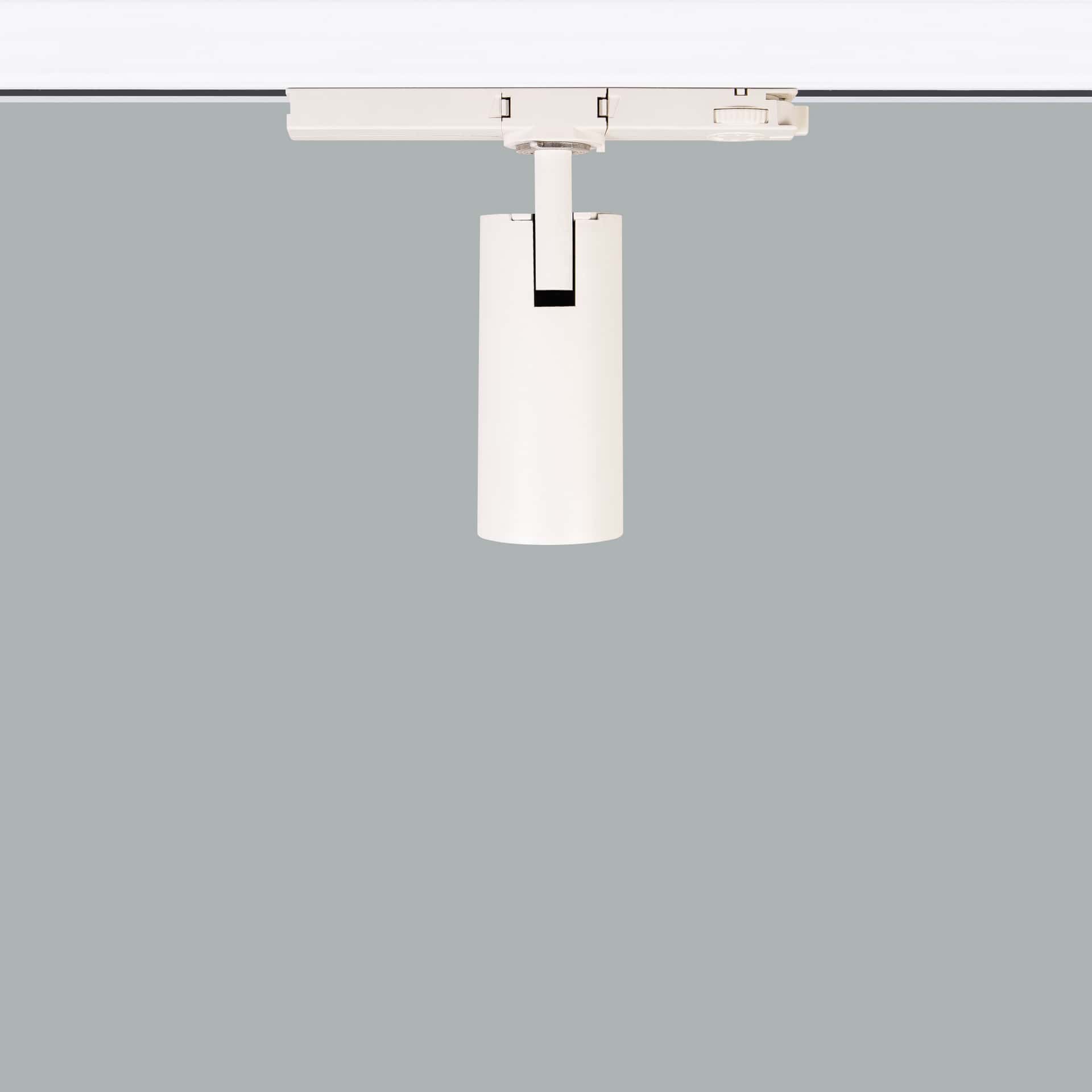 Silindir Trex Mini - Bild 5