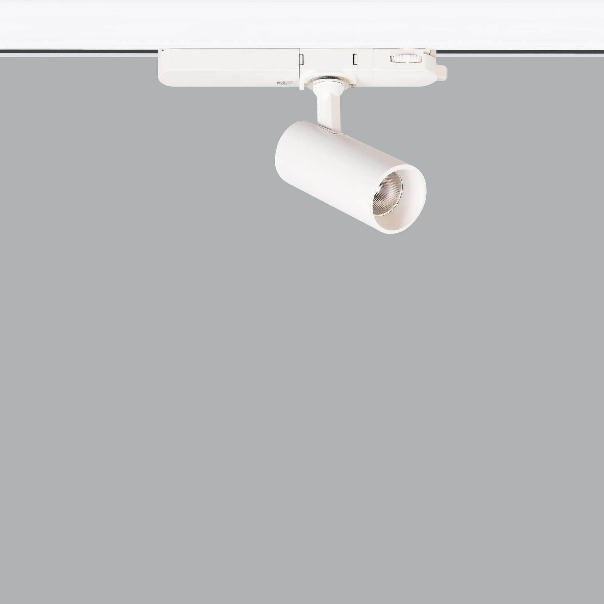 Silindir Trex Micro - Bild 2