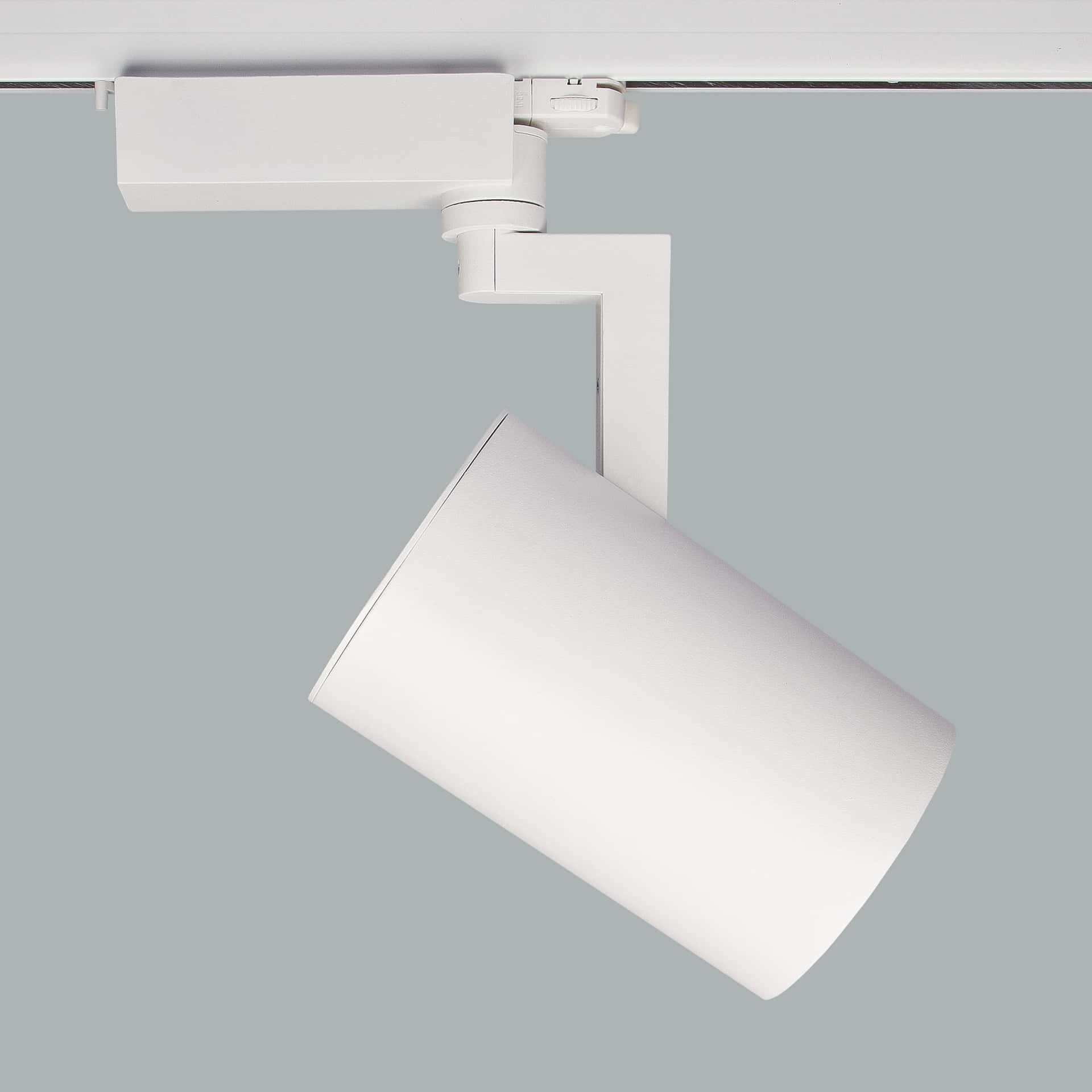 Ray Maxi Flux - Bild 5