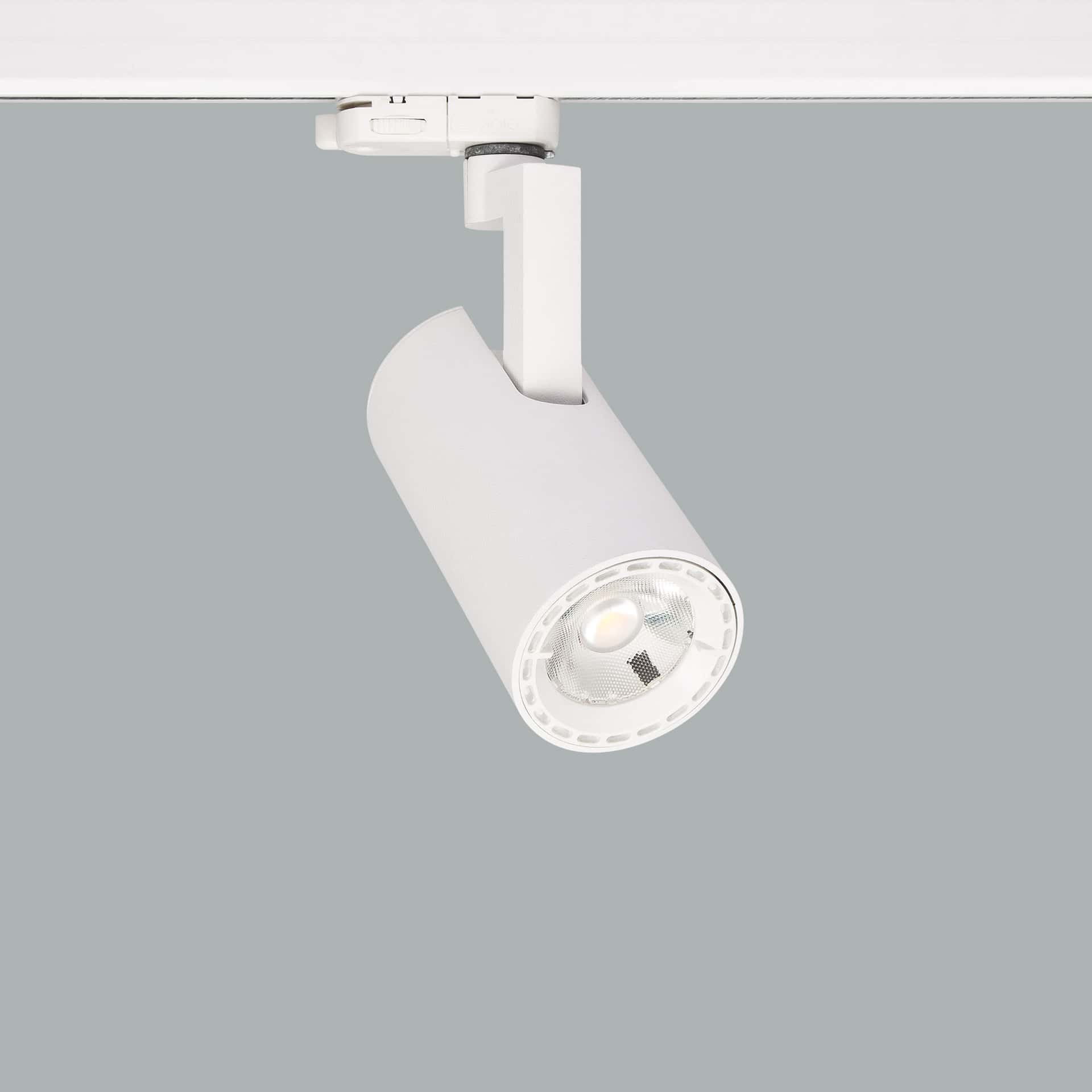 Ray Mini - image 2