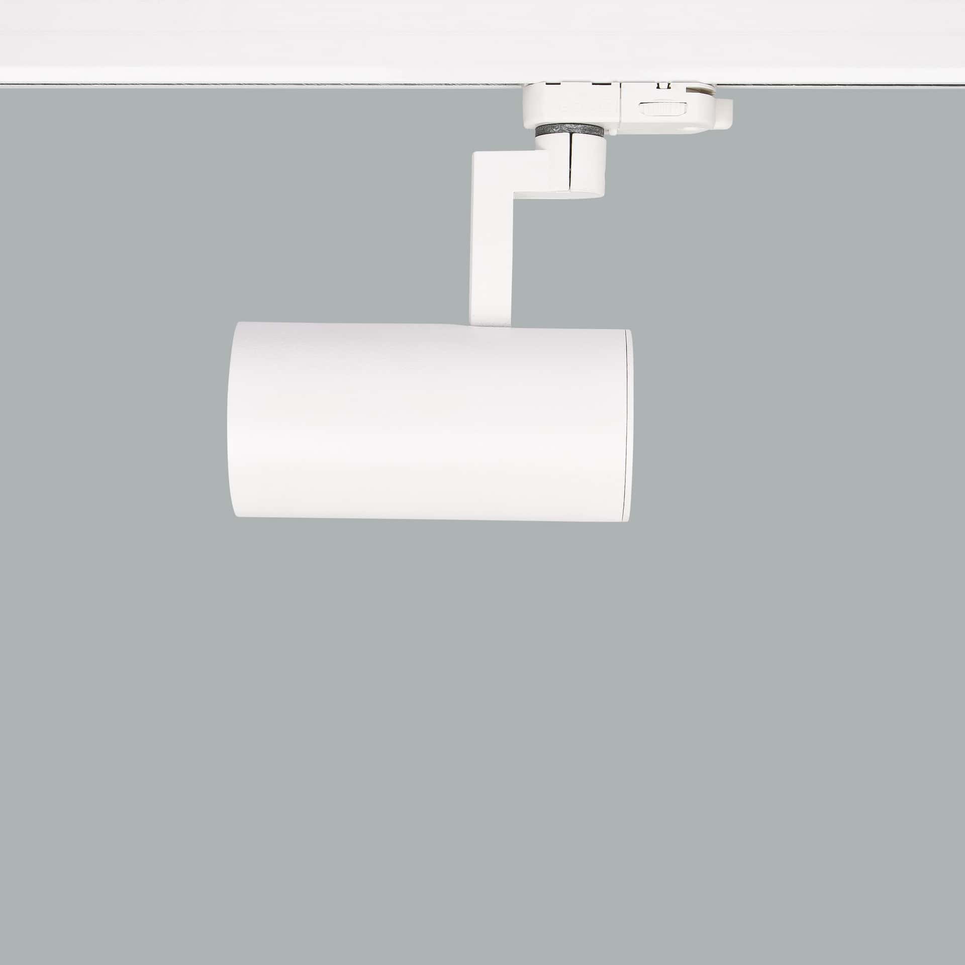 Ray Mini - image 6