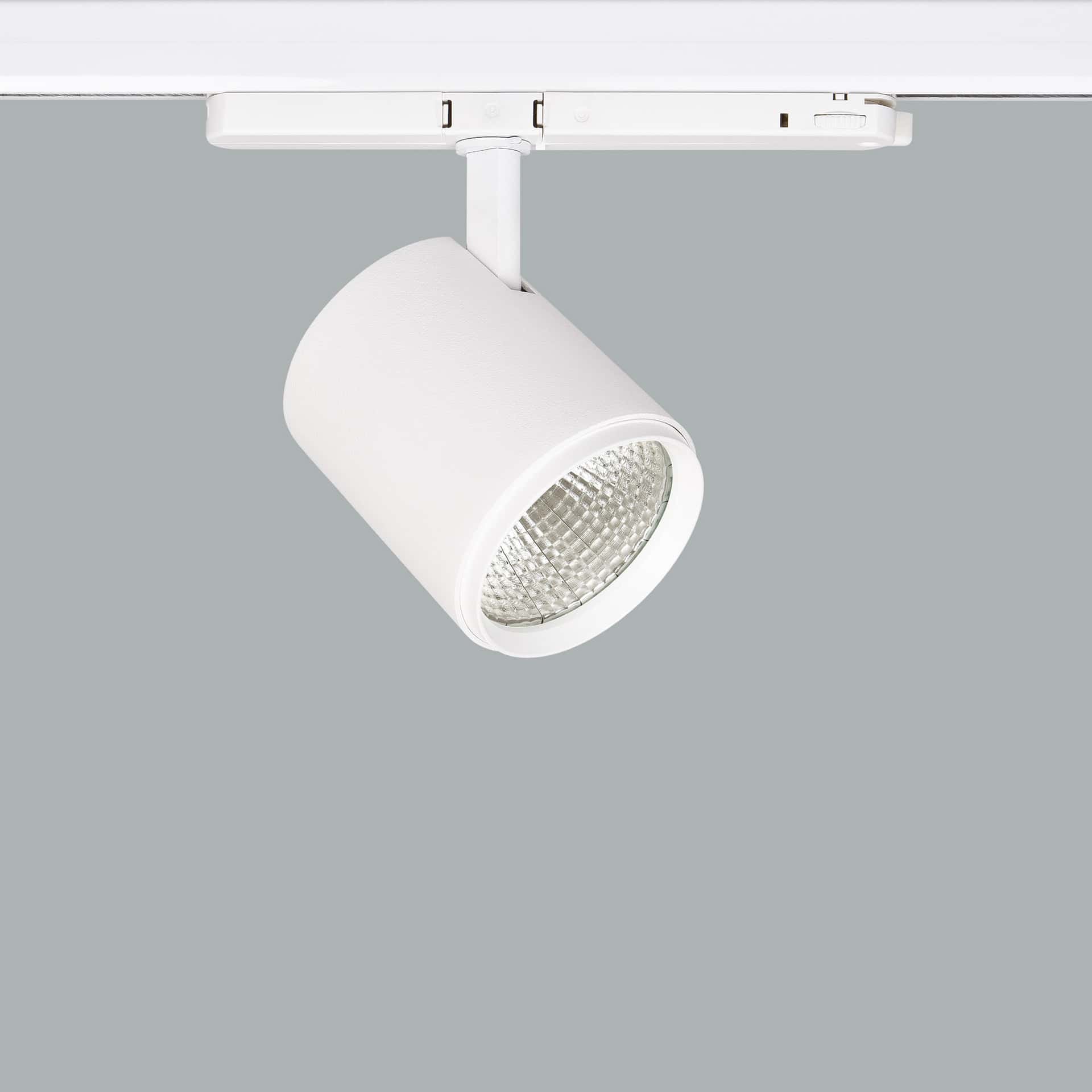 Lamba Deco - image 2