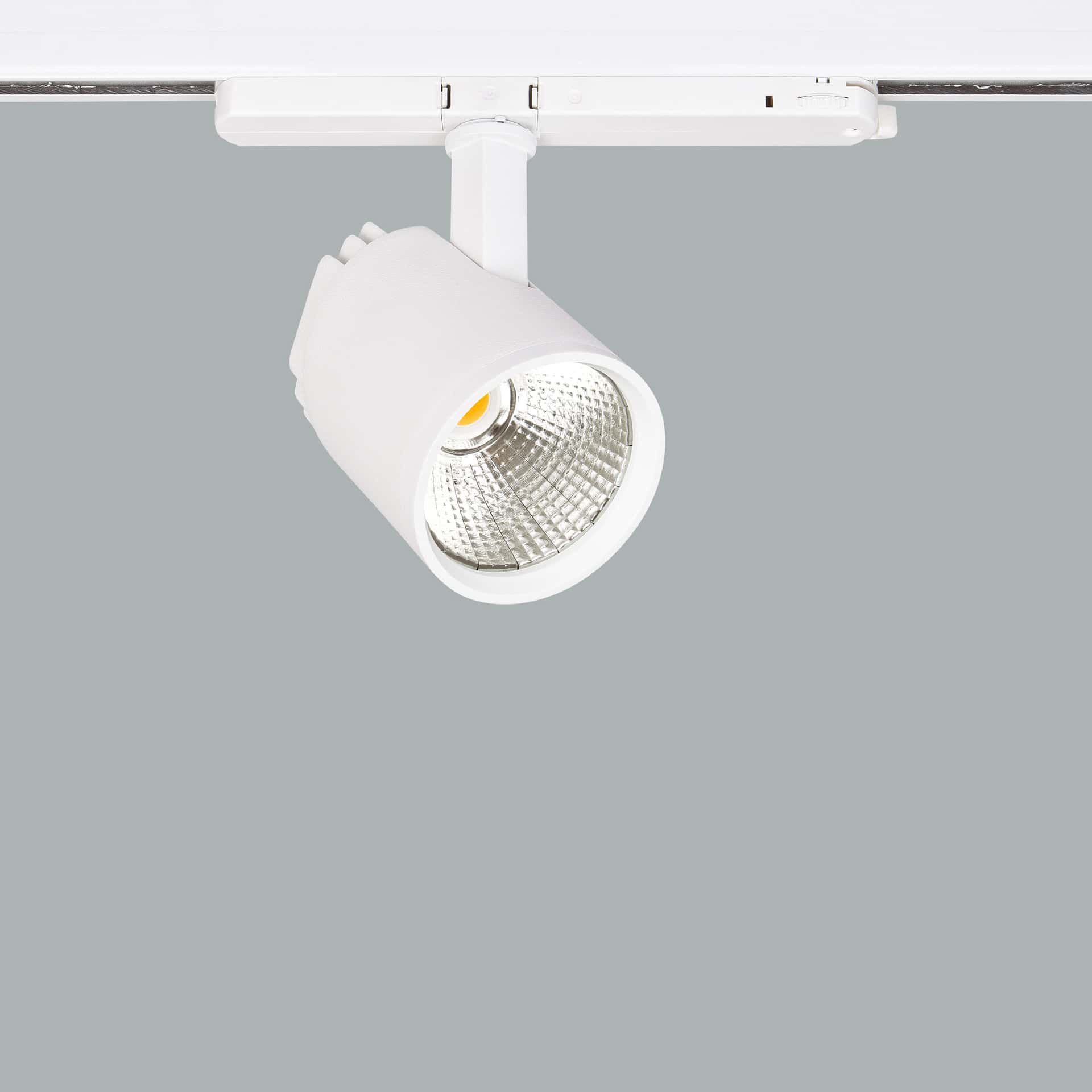 Mavi Mini Deco