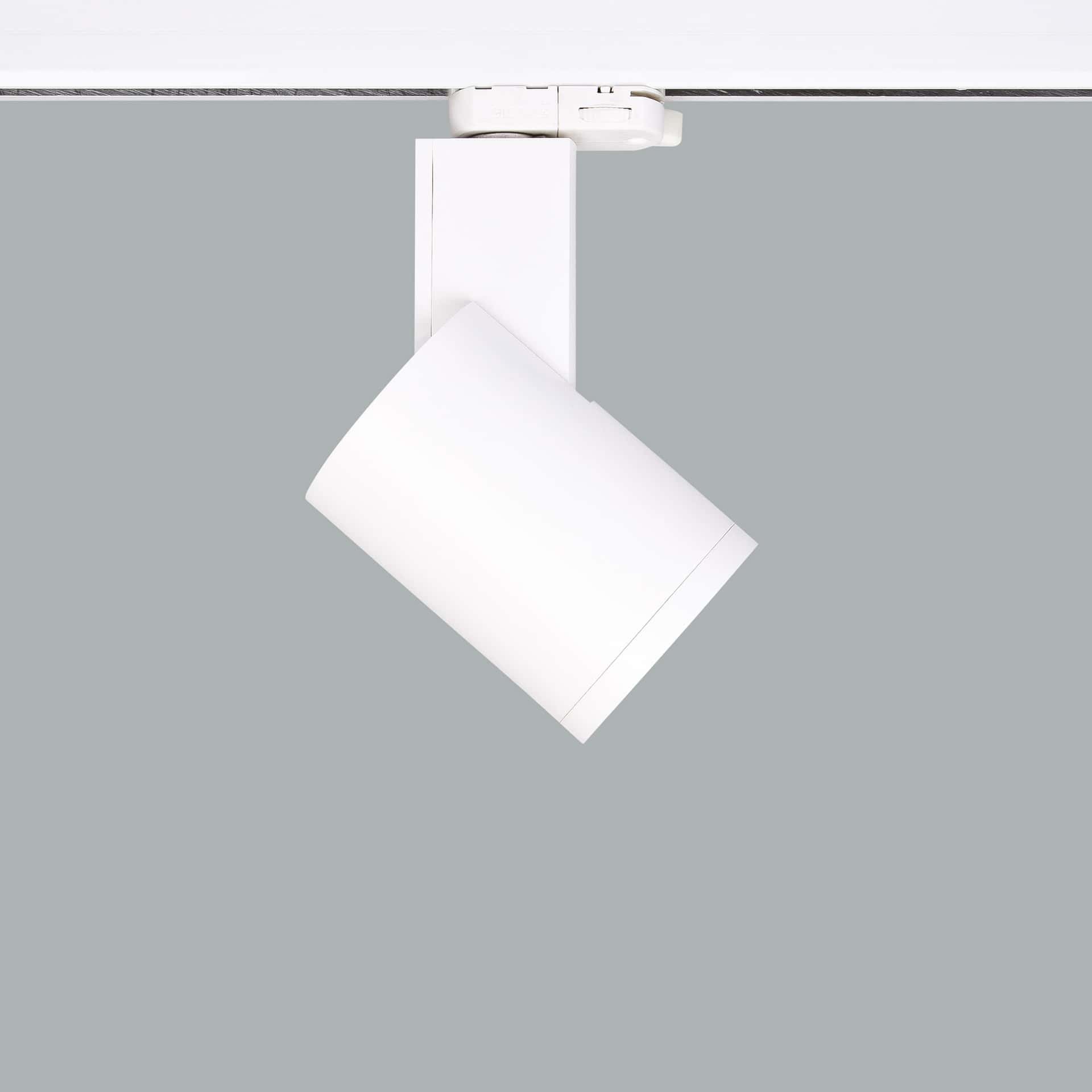 Mini Bavyera - Bild 5