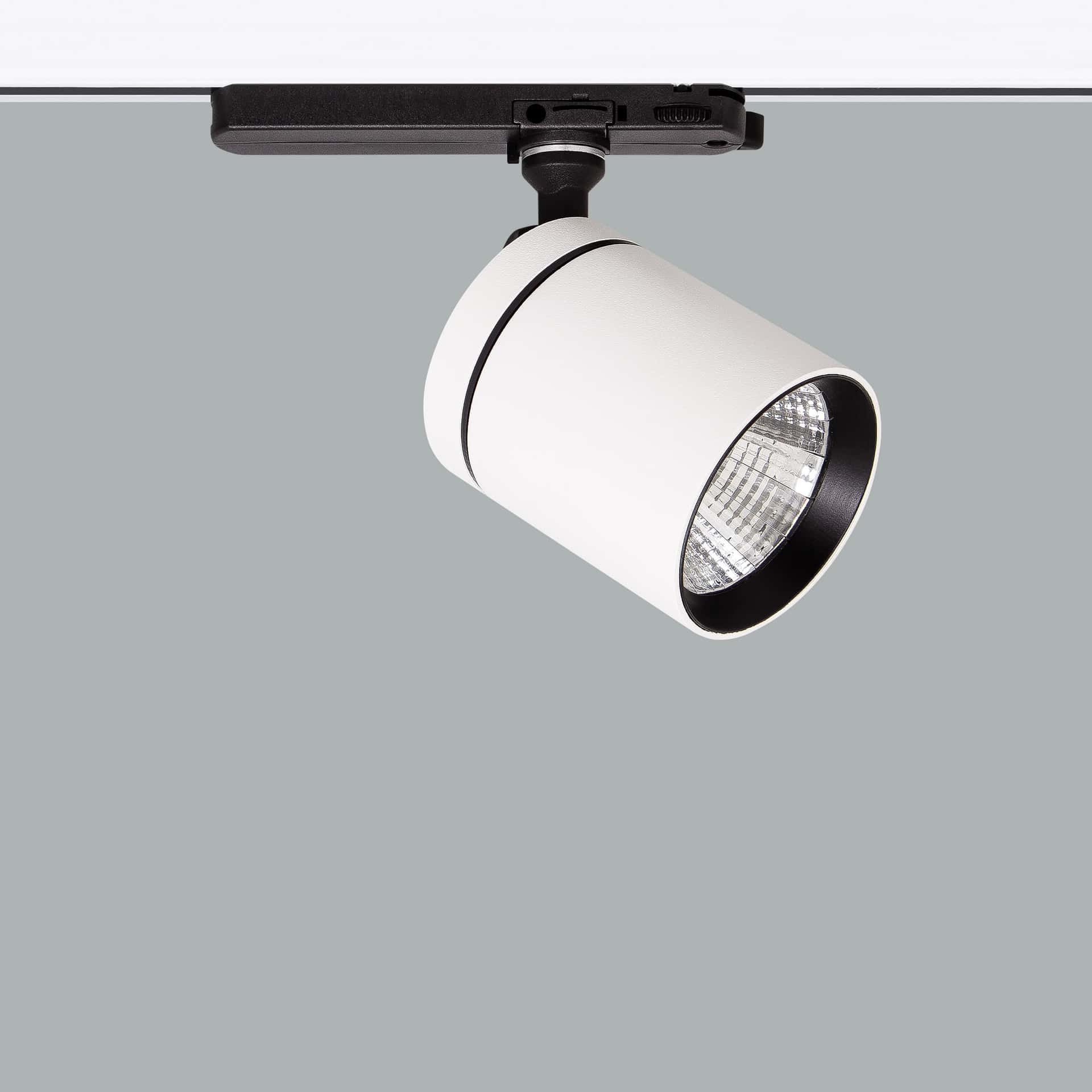 Firefly Maxi - image 2