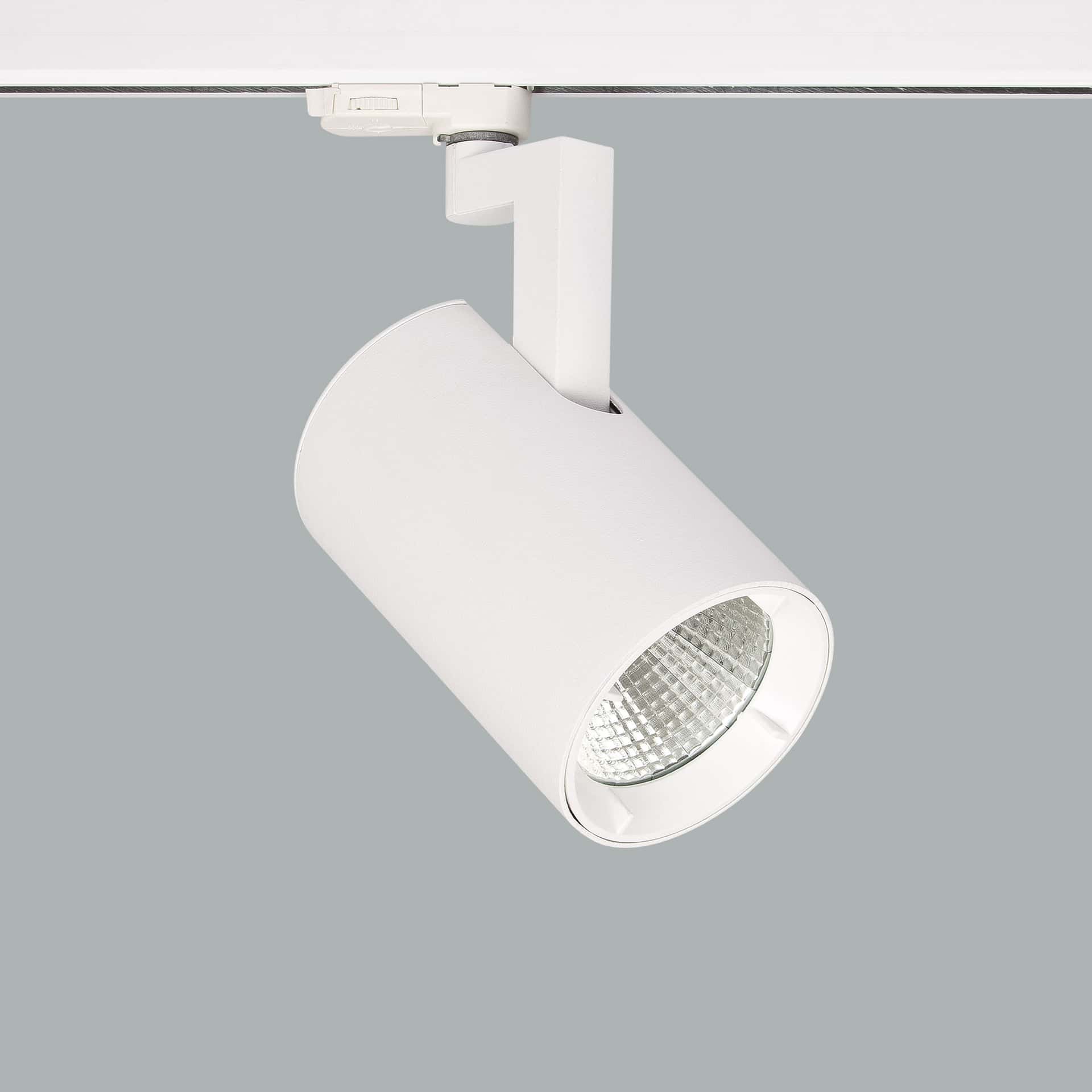 Ray - image 2