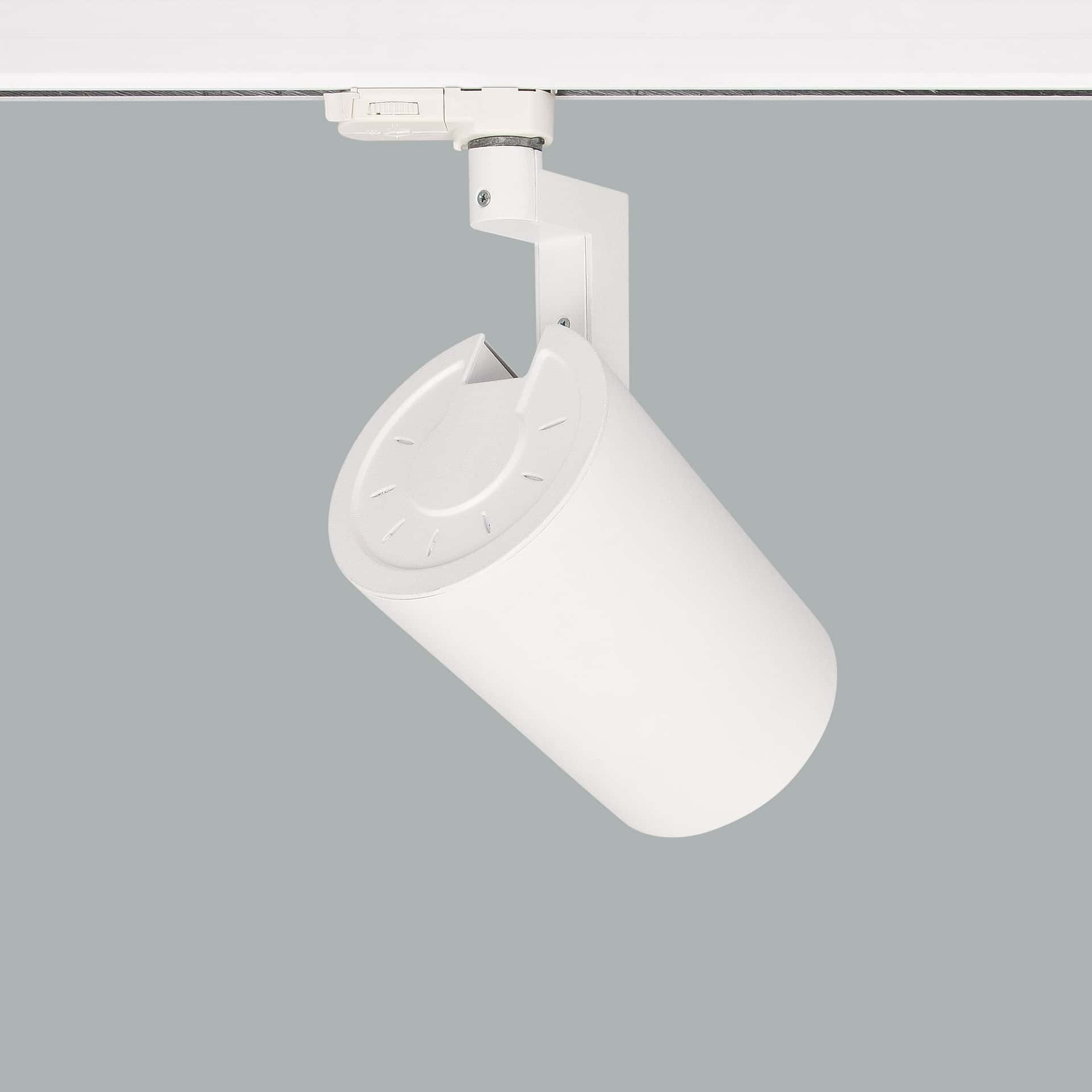 Ray - image 3