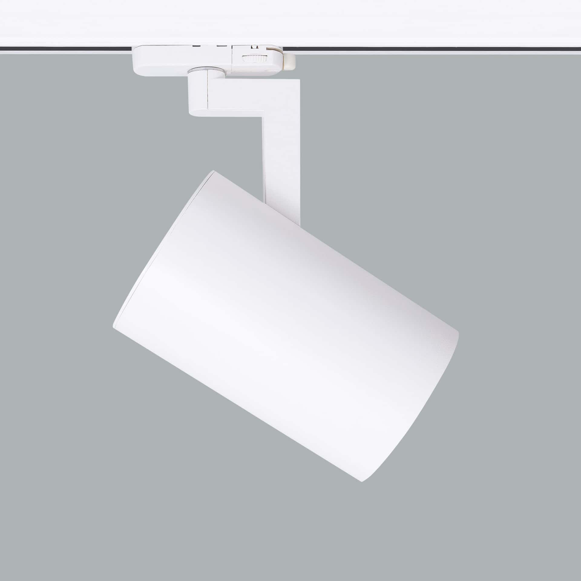 Ray Maxi - Bild 9