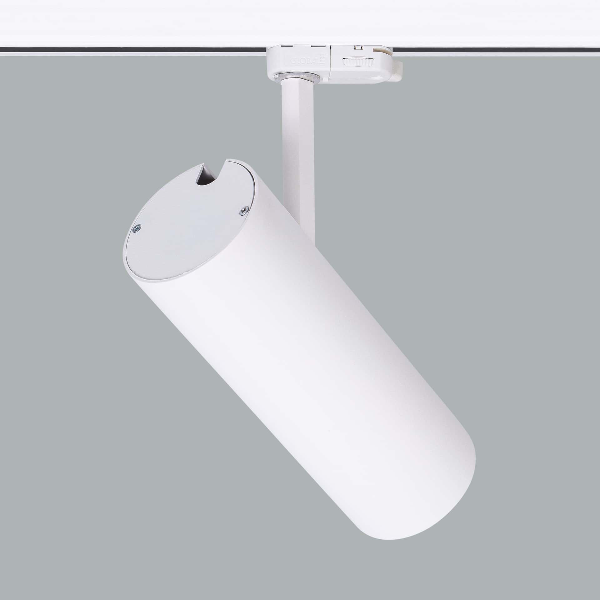 Silindir Maxi - image 4