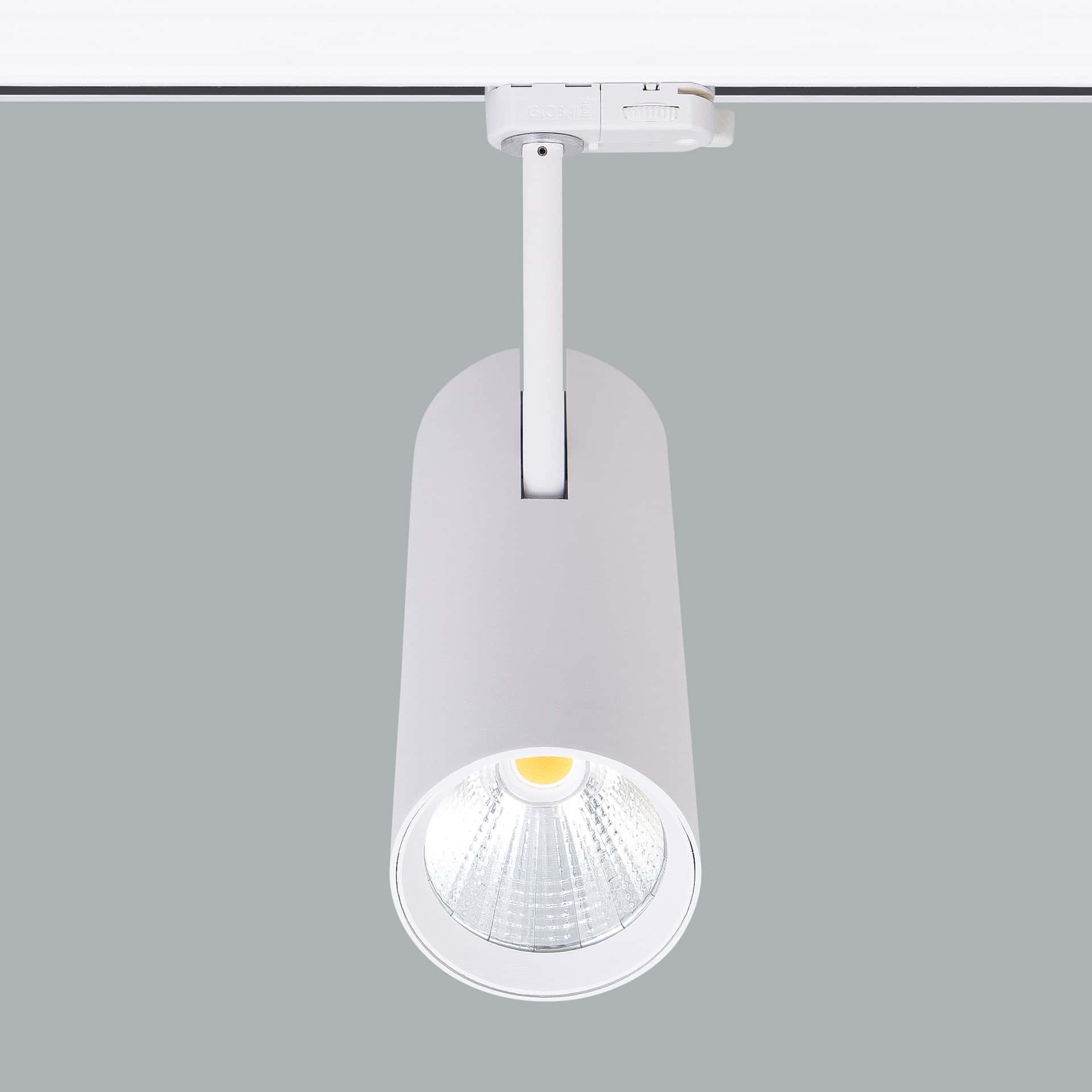 Silindir Maxi - image 6