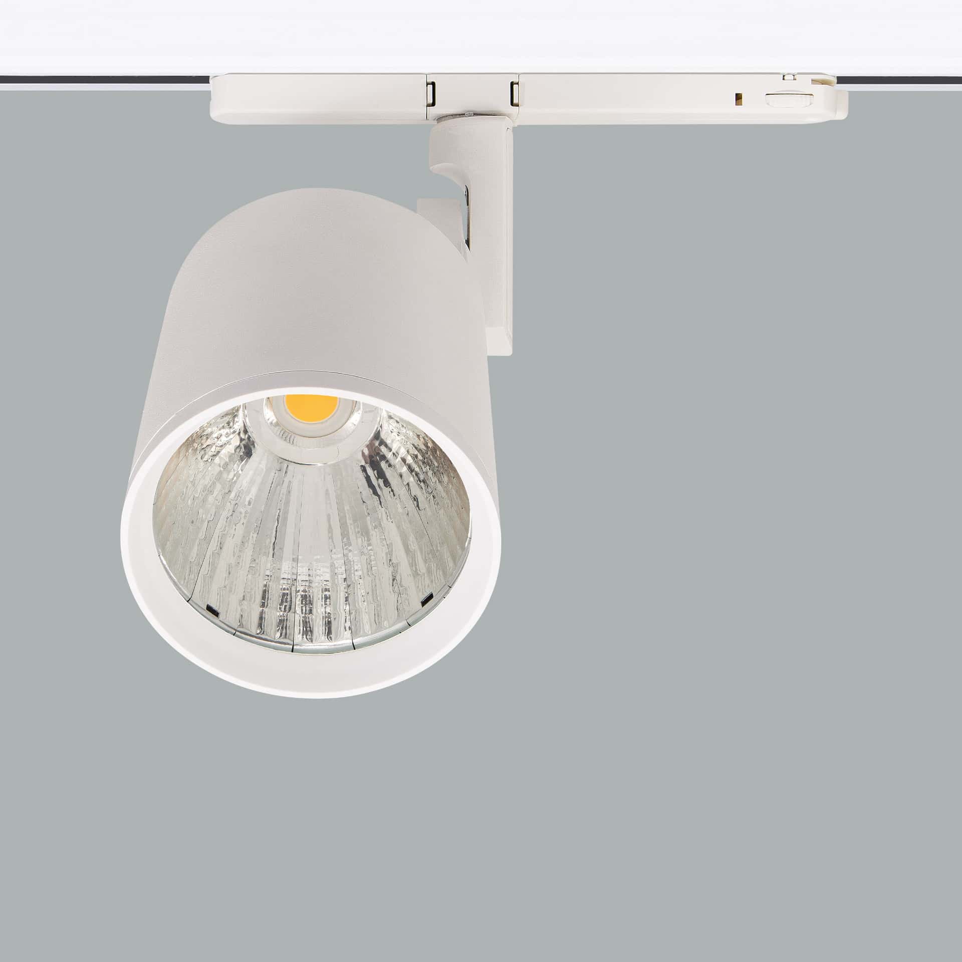 Lale Deco - image 3